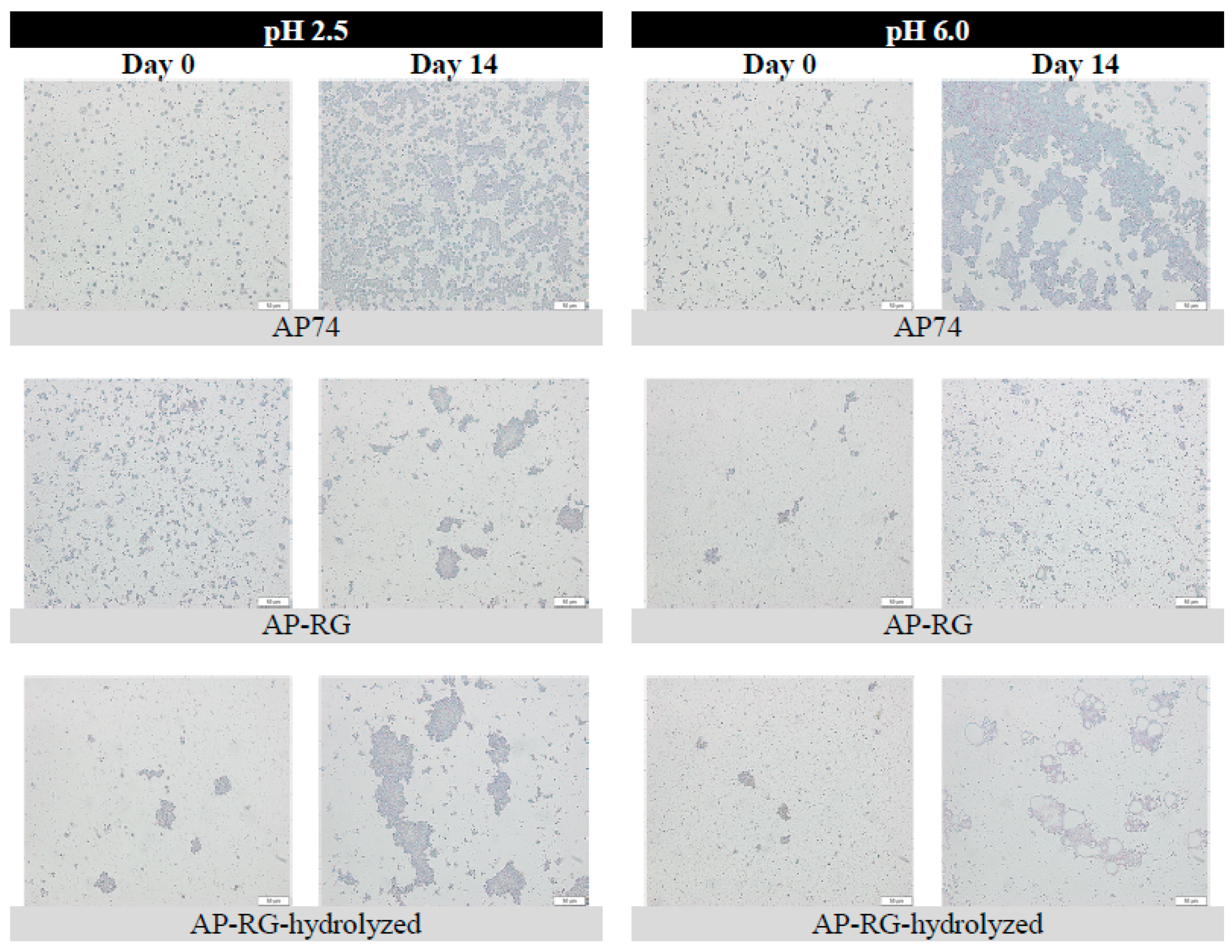 Foods 10 01586 g008 Foods 10 01586 g008