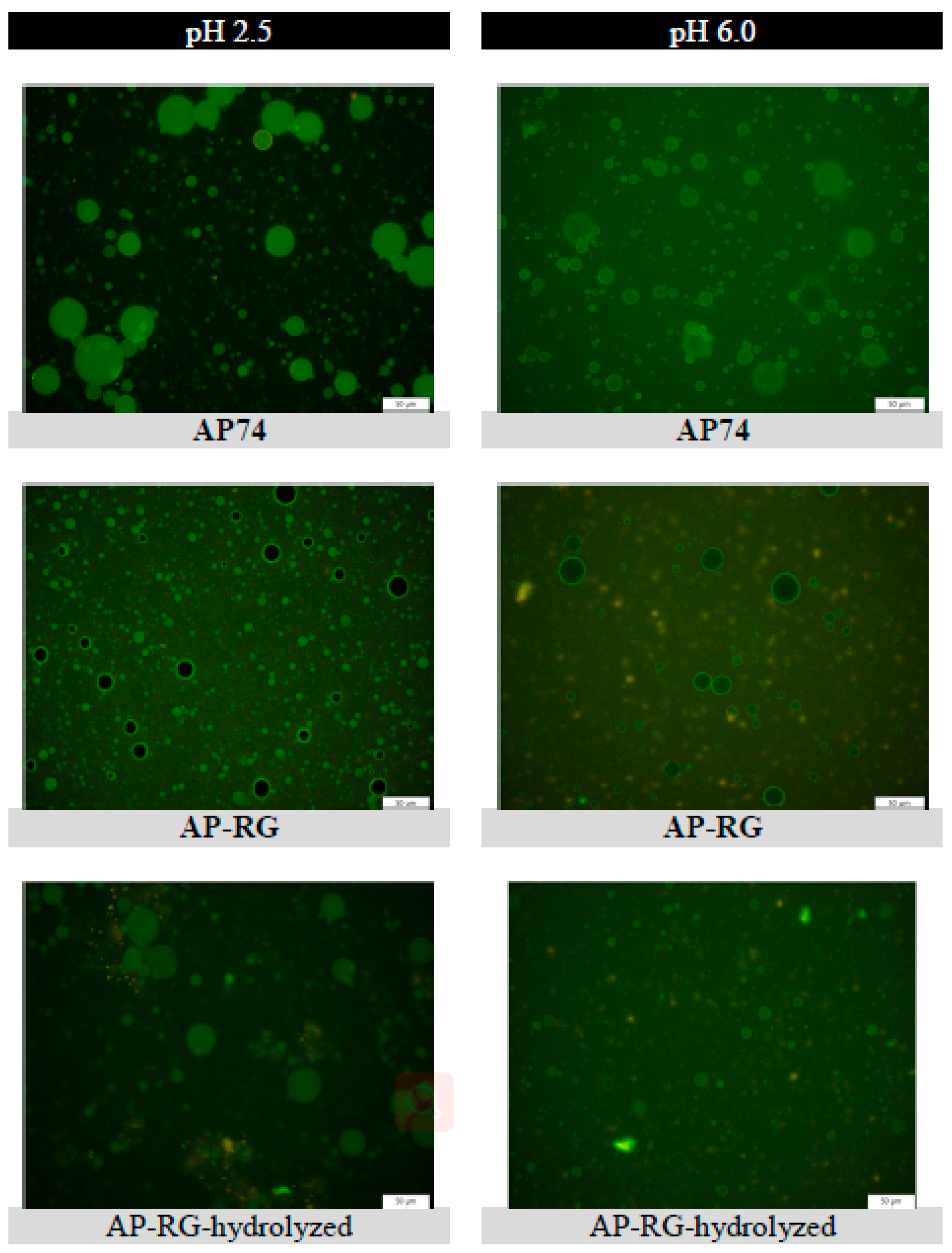 Foods 10 01586 g009 Foods 10 01586 g009