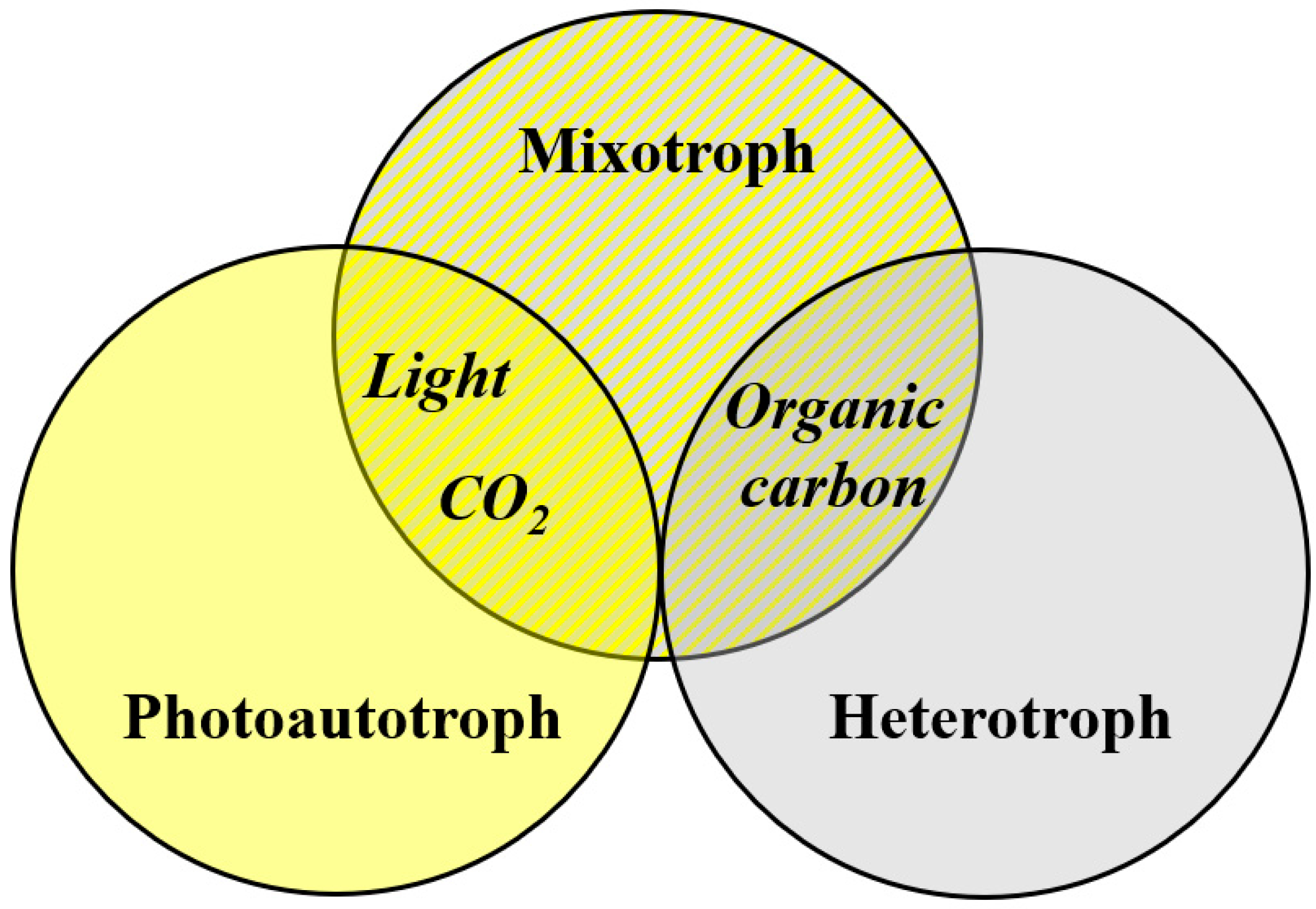 Food Ingredients And Nutraceuticals From Microalgae: Main Product ...