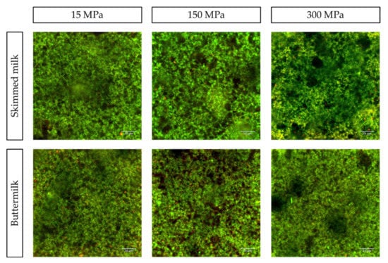 Foods | Free Full-Text | Impact Of Ultra-High-Pressure Homogenization ...