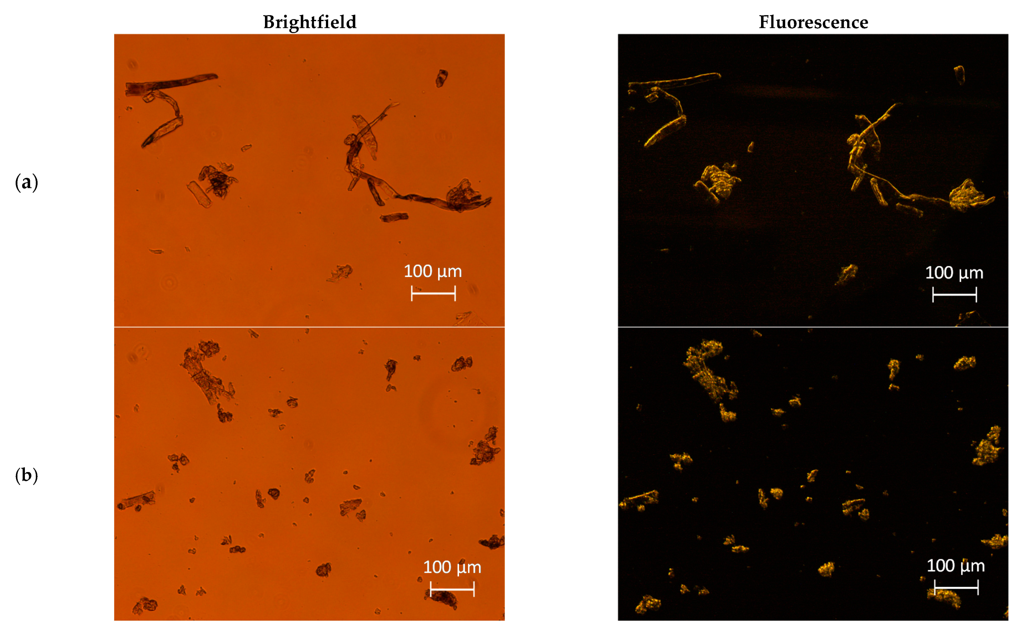 Foods 10 01886 g001a Foods 10 01886 g001a