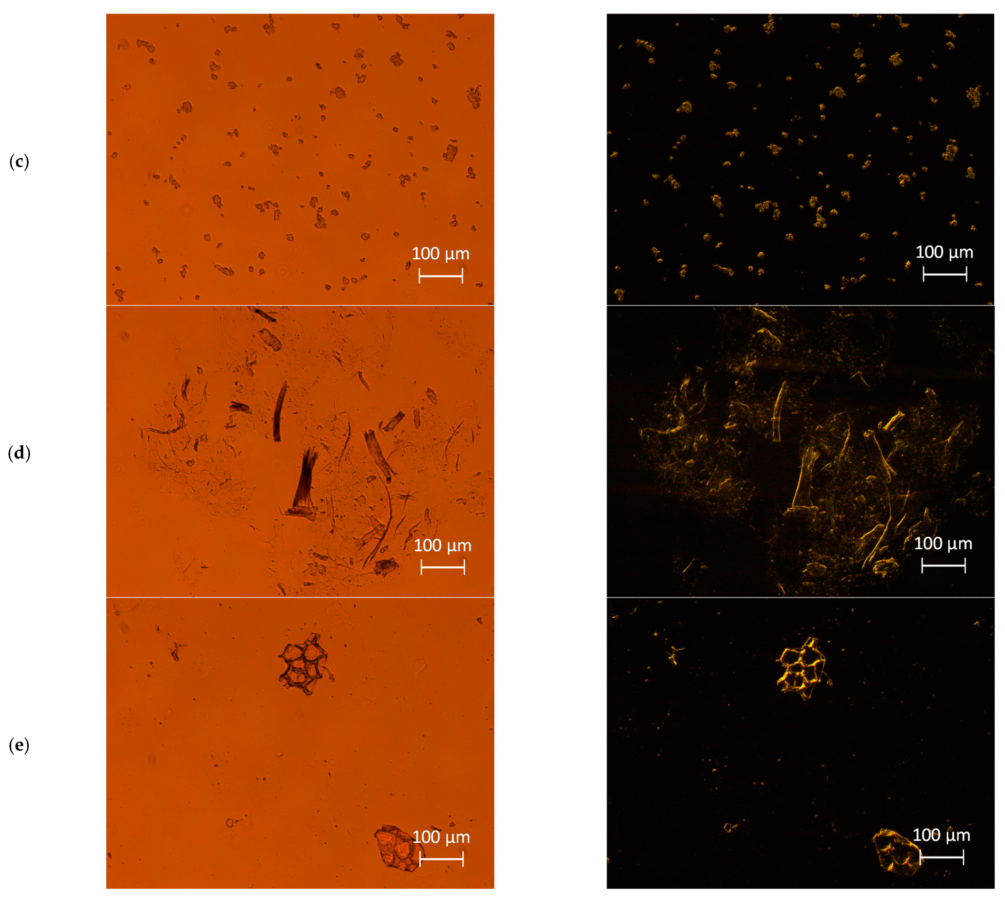 Foods 10 01886 g001b Foods 10 01886 g001b