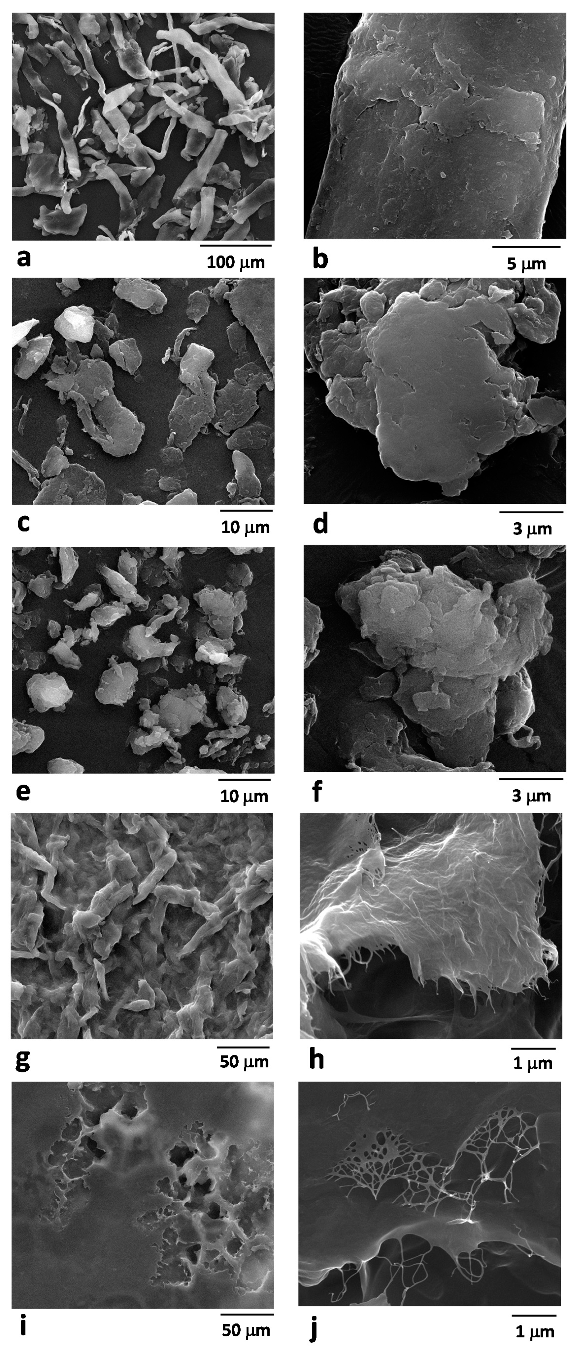 Foods 10 01886 g002 Foods 10 01886 g002