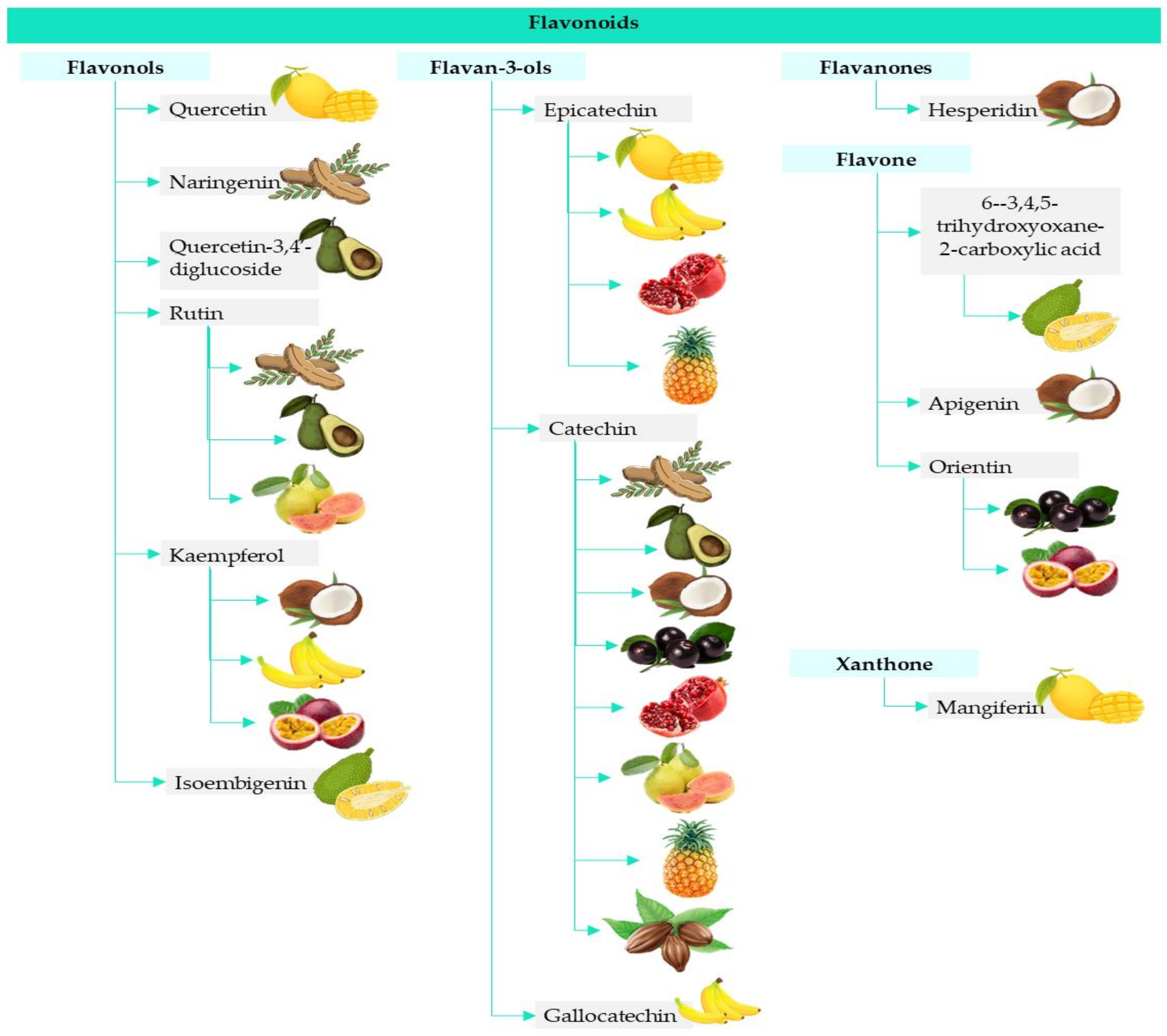 tropical fruits and vegetables list