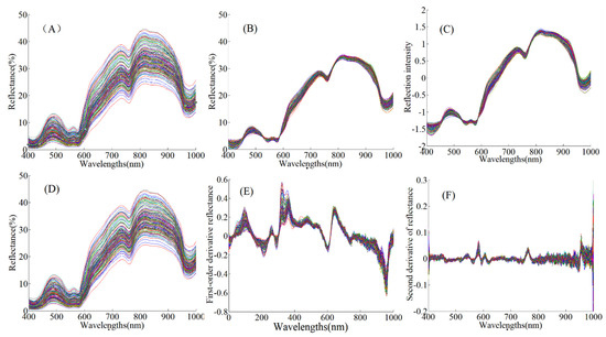 Foods | Free Full-Text | Rapid Nondestructive Simultaneous Detection ...