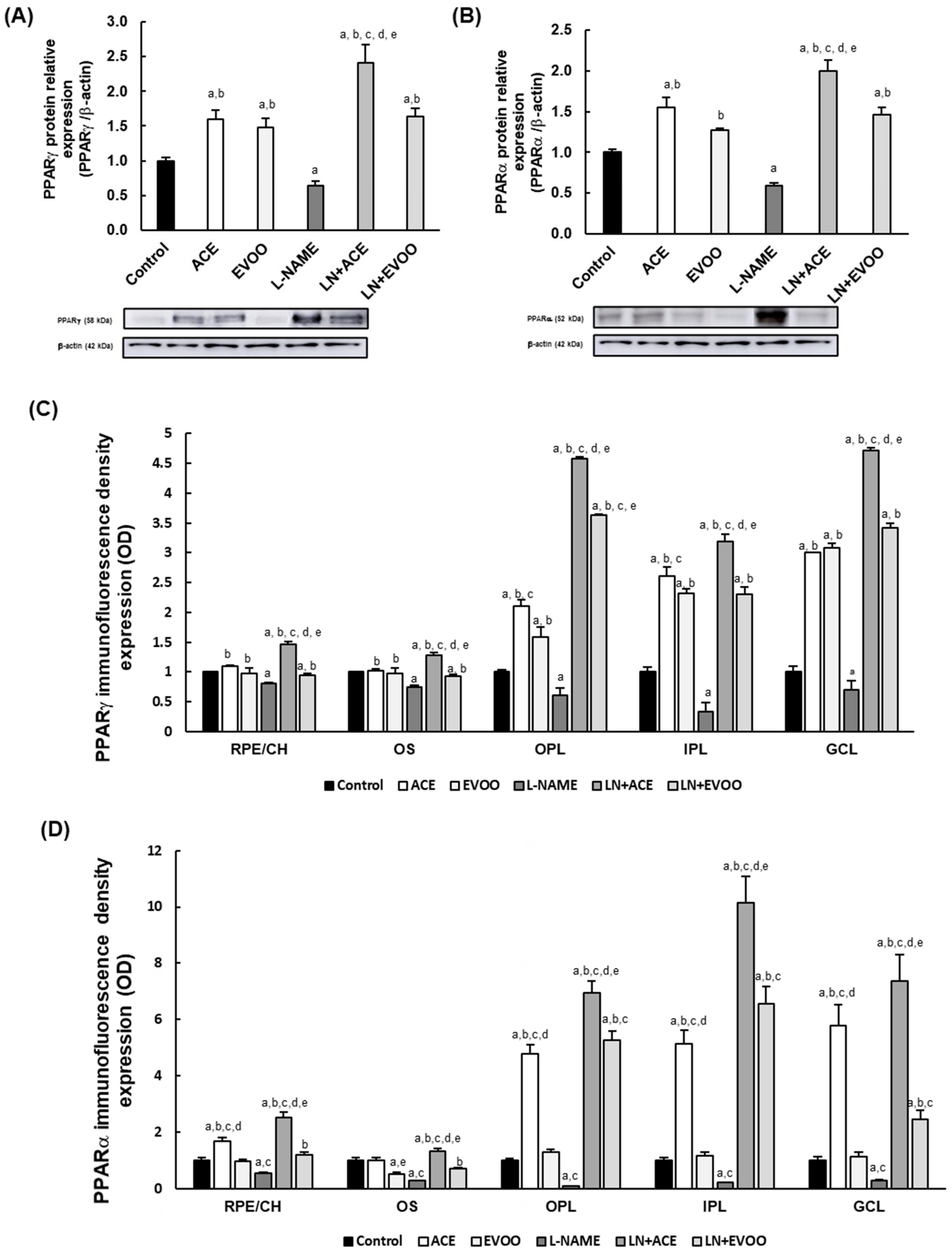 Foods 10 01993 g003a Foods 10 01993 g003a