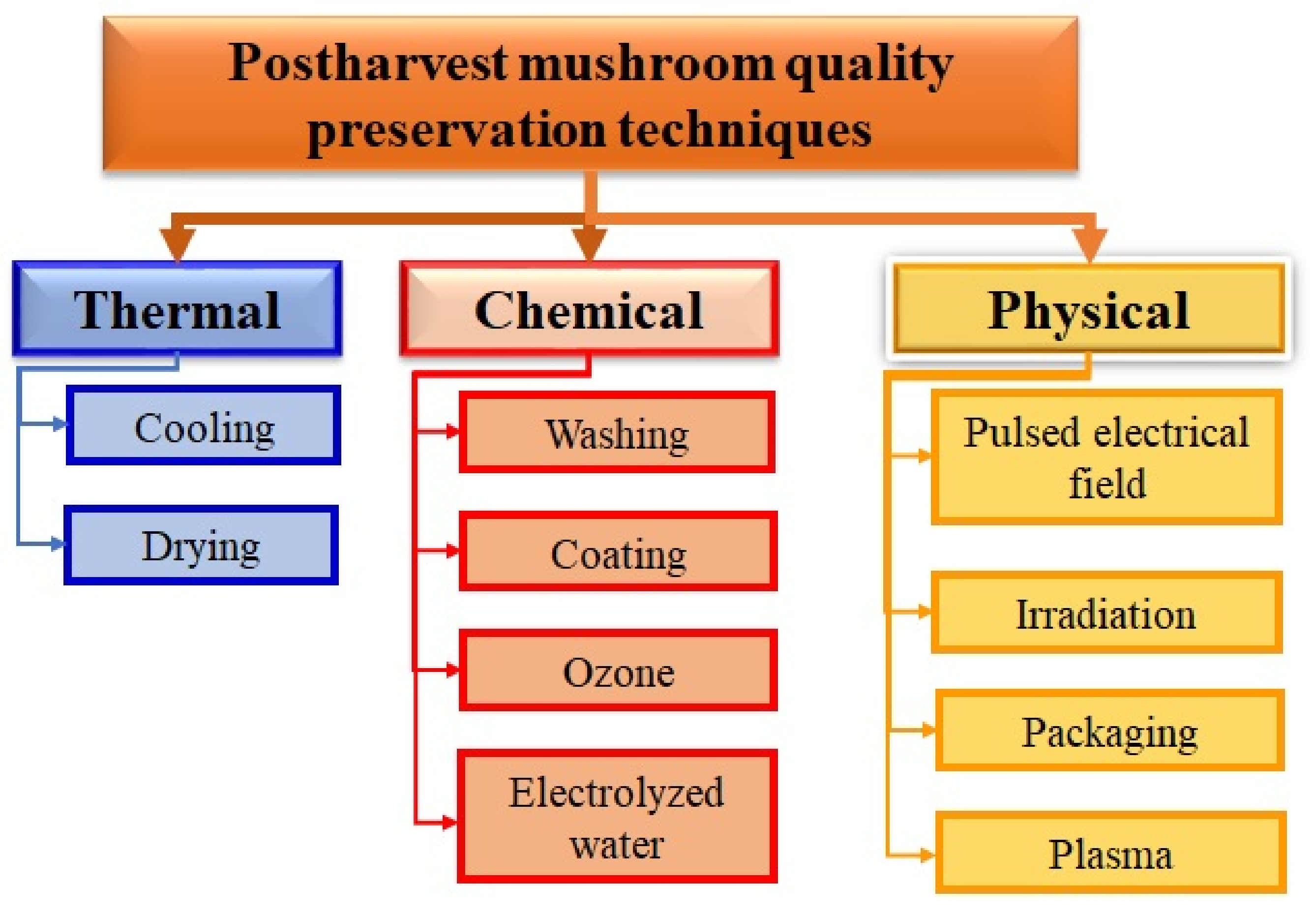 Plastic Food Tray Fresh Mushroom Packaging Tray - China Packaging