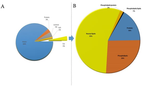 A Comprehensive Review Of The Composition, Nutritional Value, And ...