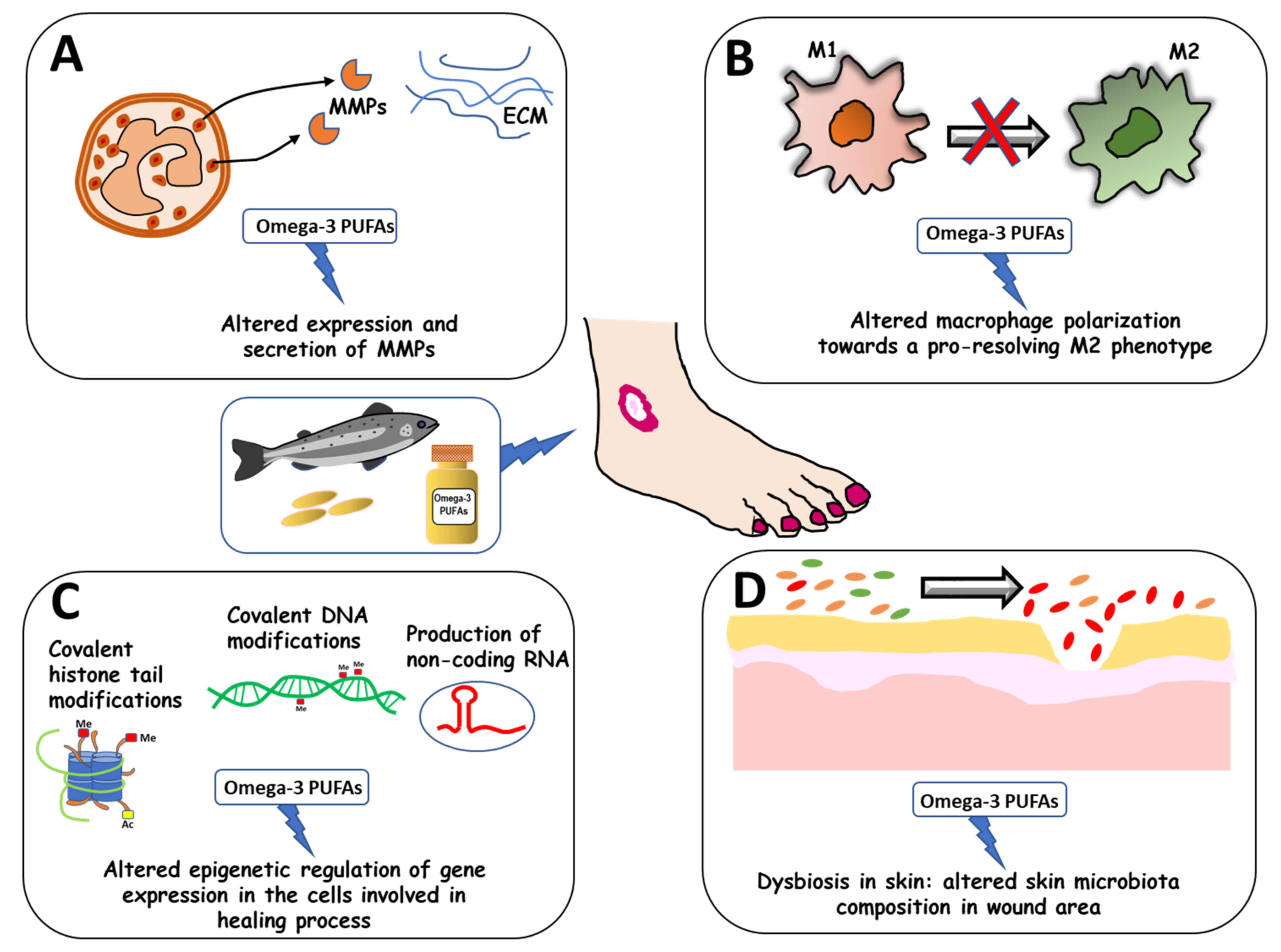 Foods | Free Full-Text | New Insights on the Effects of Dietary Omega-3  Fatty Acids on Impaired Skin Healing in Diabetes and Chronic Venous Leg  Ulcers
