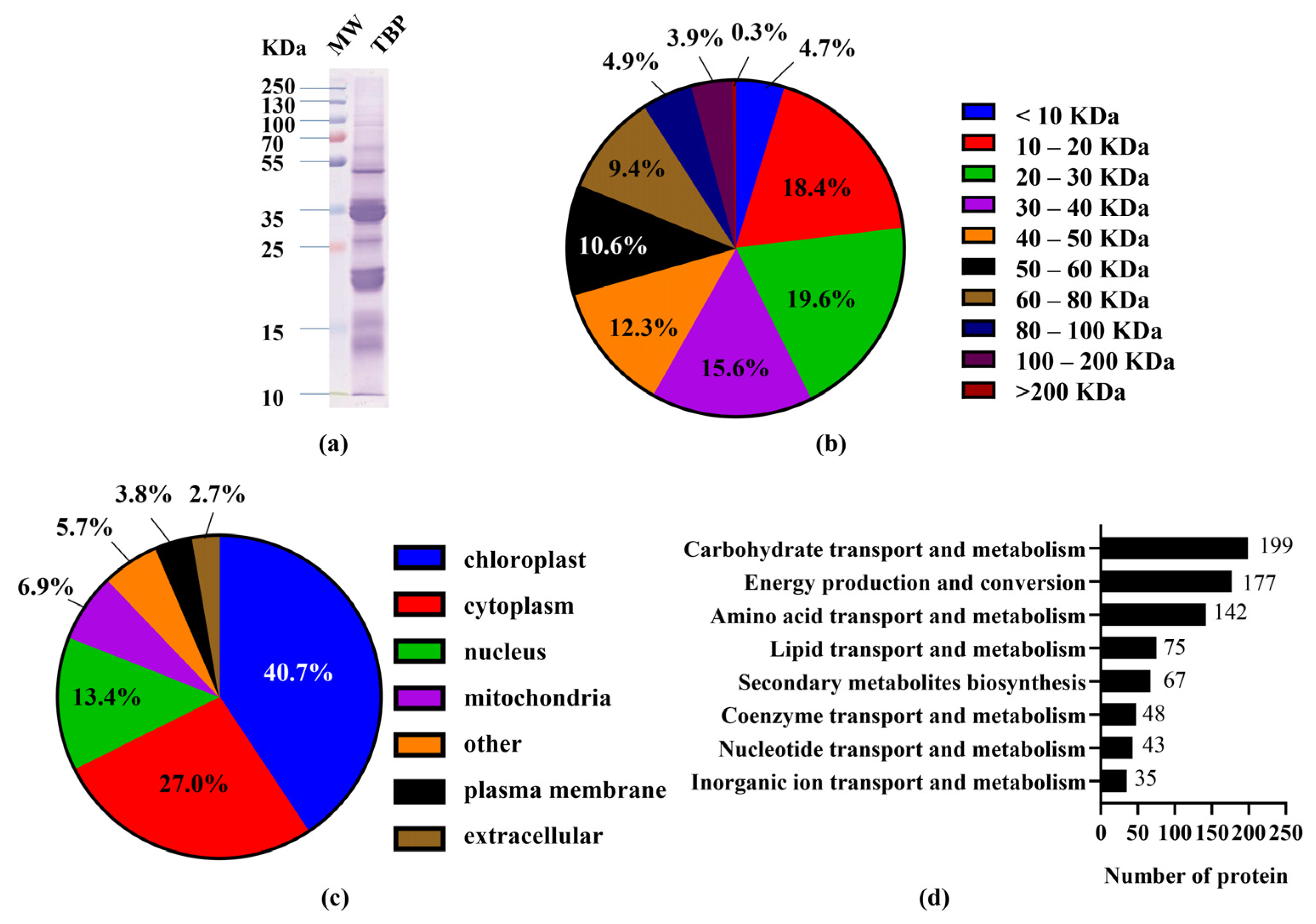 Cholesterol-Lowering Activity of Tartary Buckwheat Protein