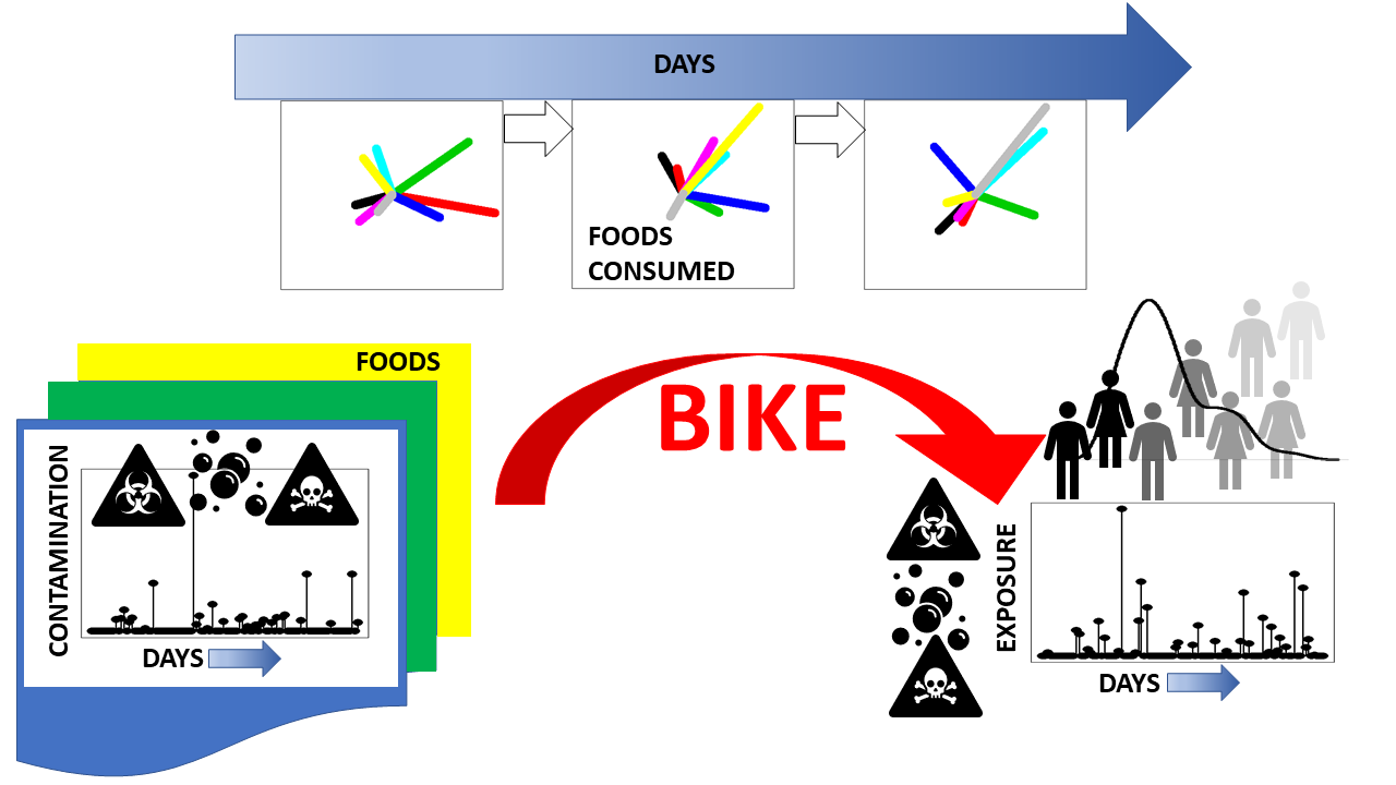 Foods | Free Full-Text | BIKE: Dietary Exposure Model for Foodborne  Microbiological and Chemical Hazards