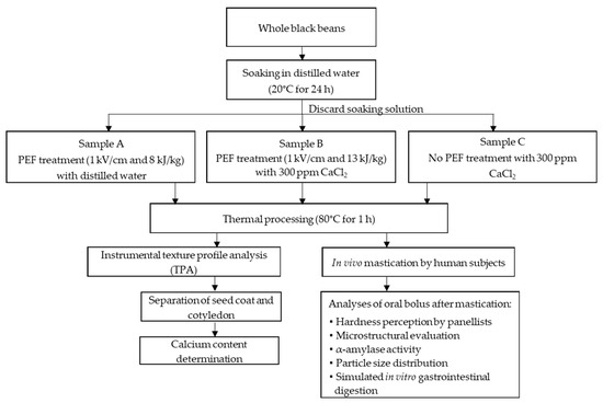 Preparation, physicochemical properties, and in vivo digestibility