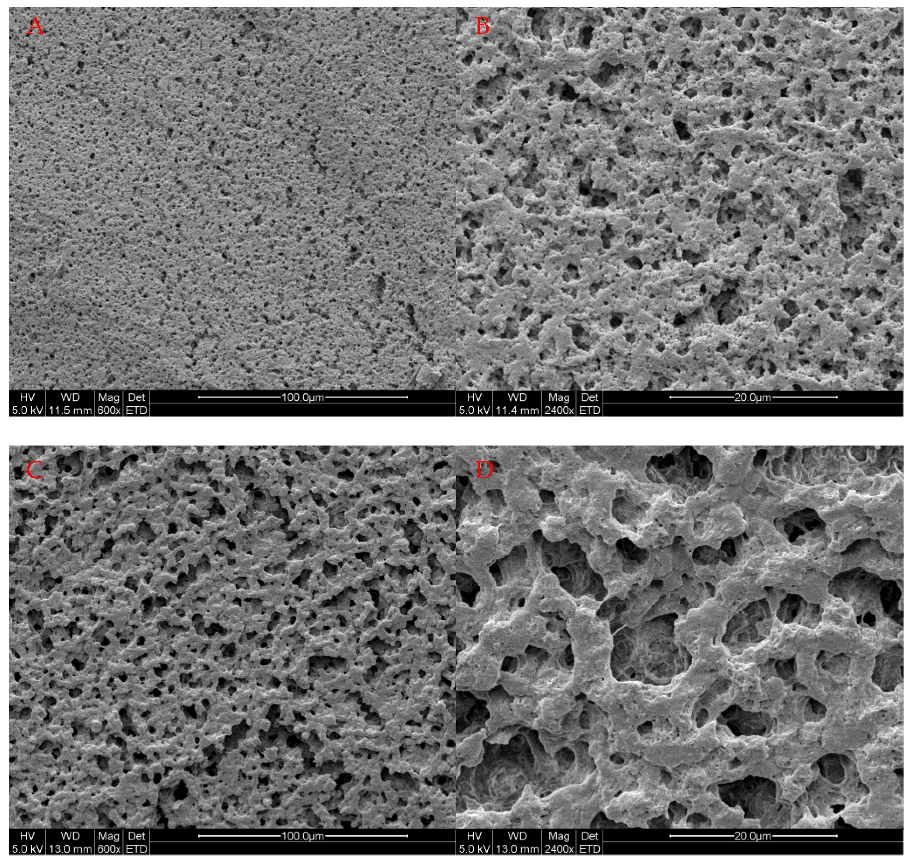 Foods 10 02653 g003a