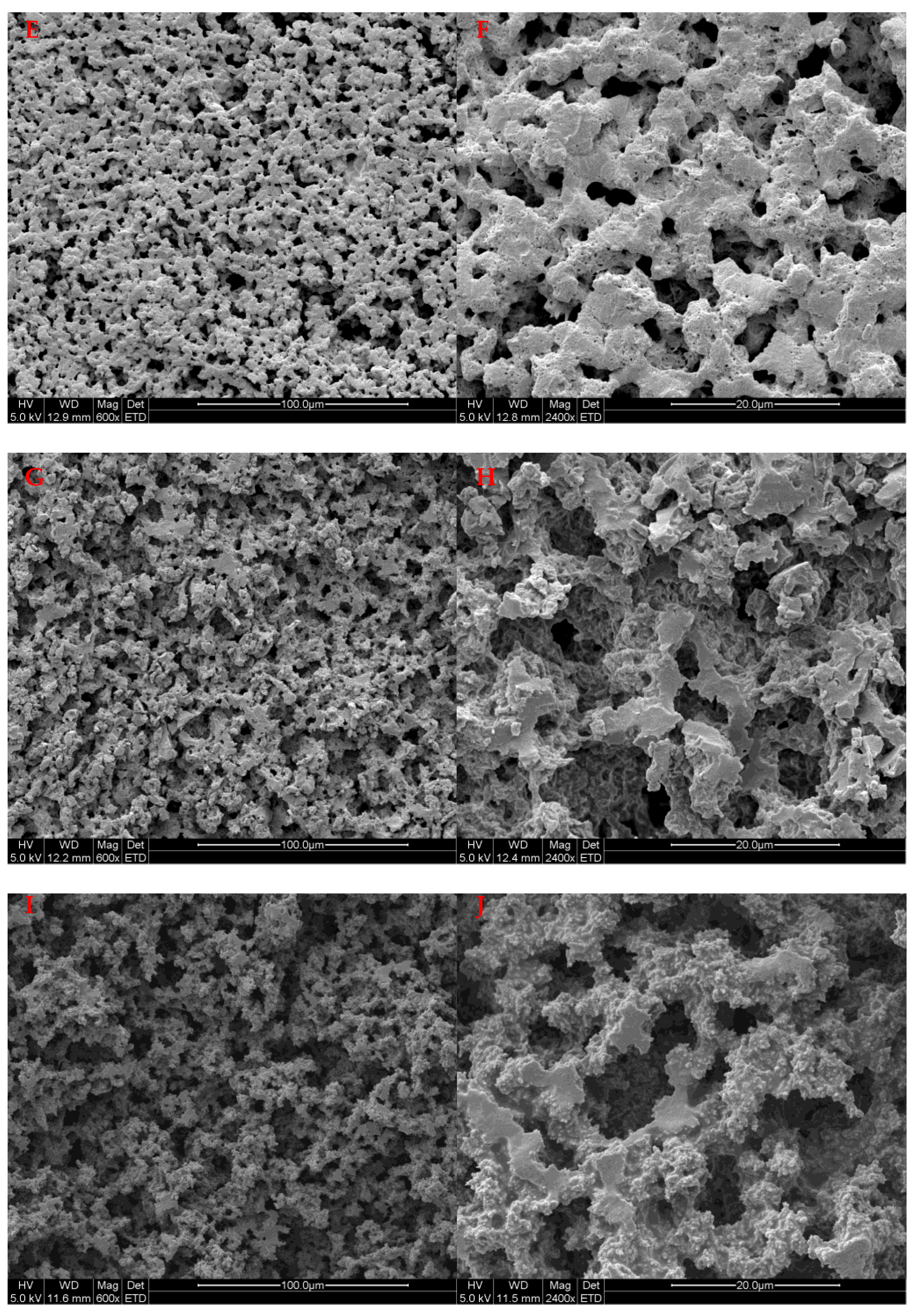 Foods 10 02653 g003b