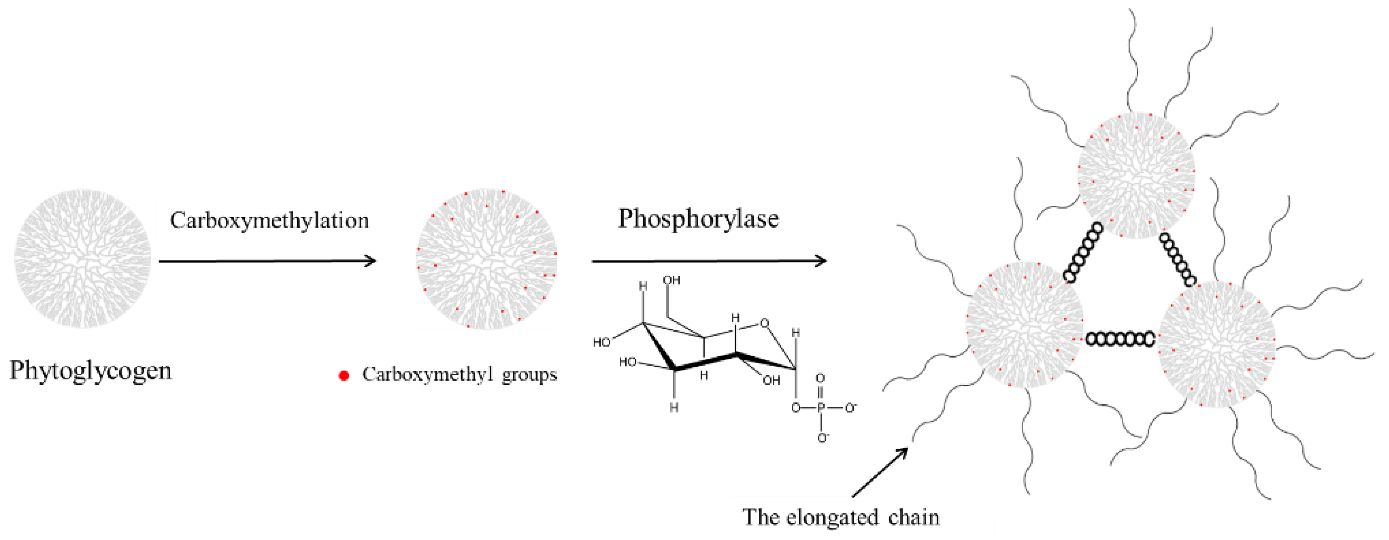 Foods 10 02653 sch001