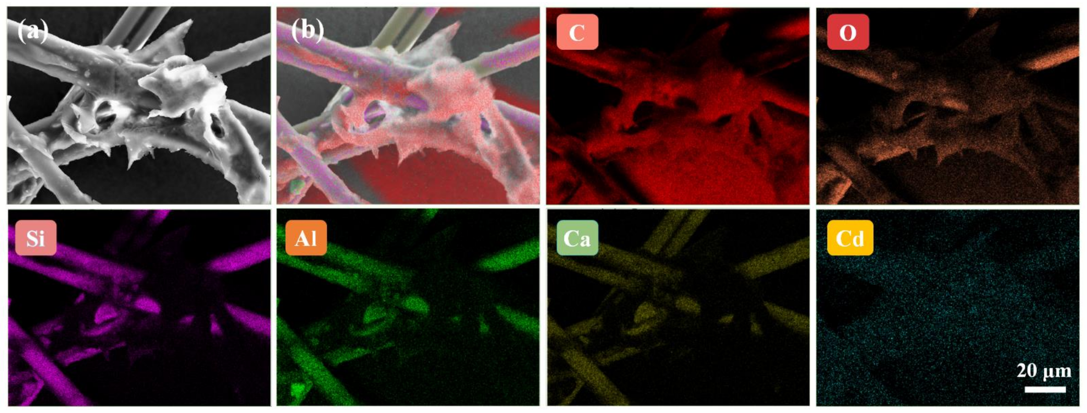 Foods 10 02810 g007 Foods 10 02810 g007