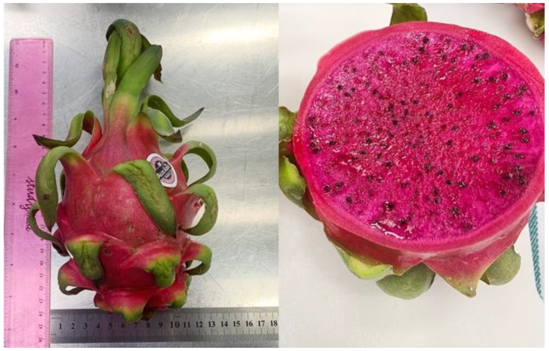 Foods | Free Full-Text | Maturation Process, Nutritional Profile,  Bioactivities and Utilisation in Food Products of Red Pitaya Fruits: A  Review | HTML