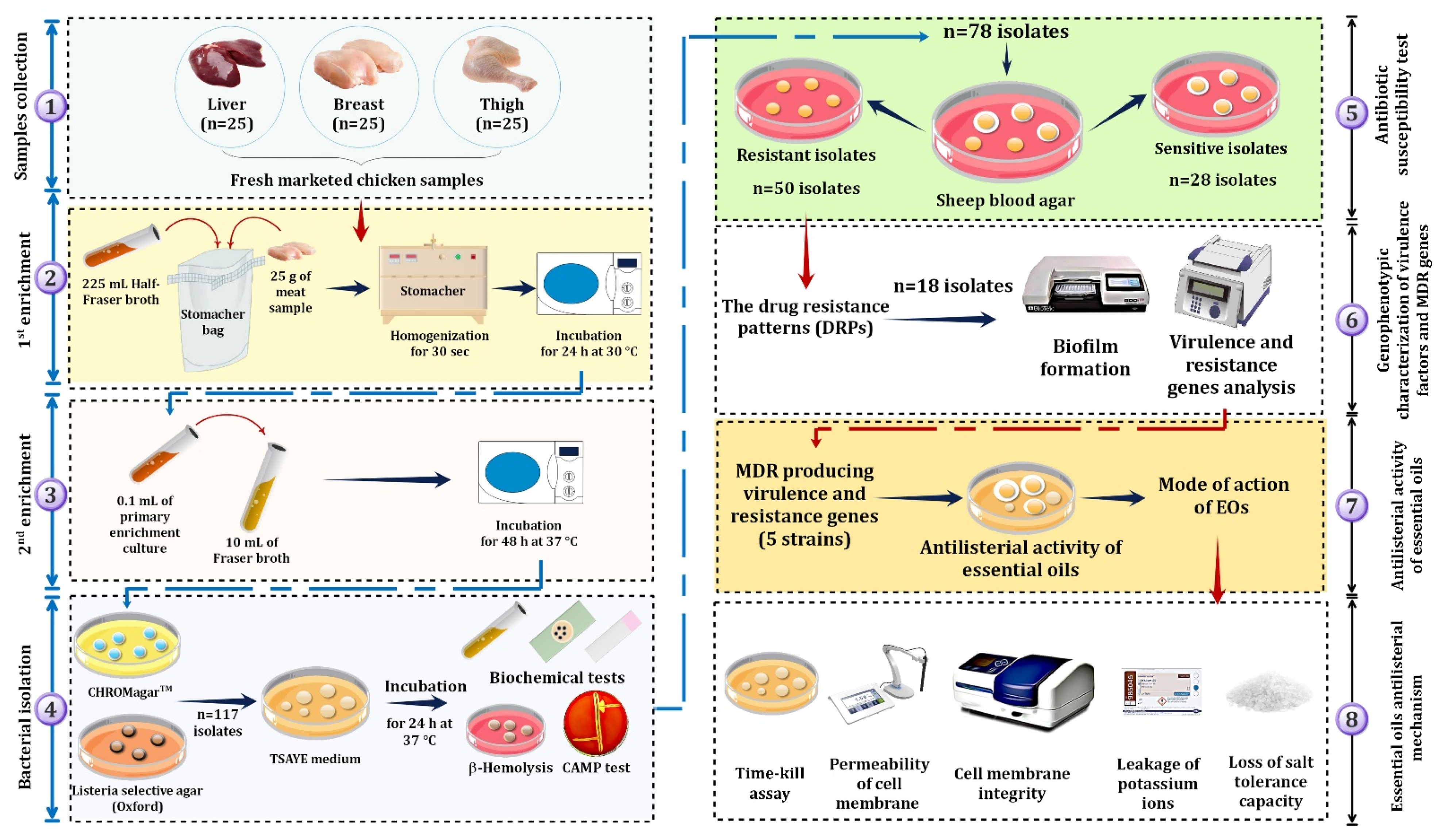 Foods 10 03006 g001 Foods 10 03006 g001