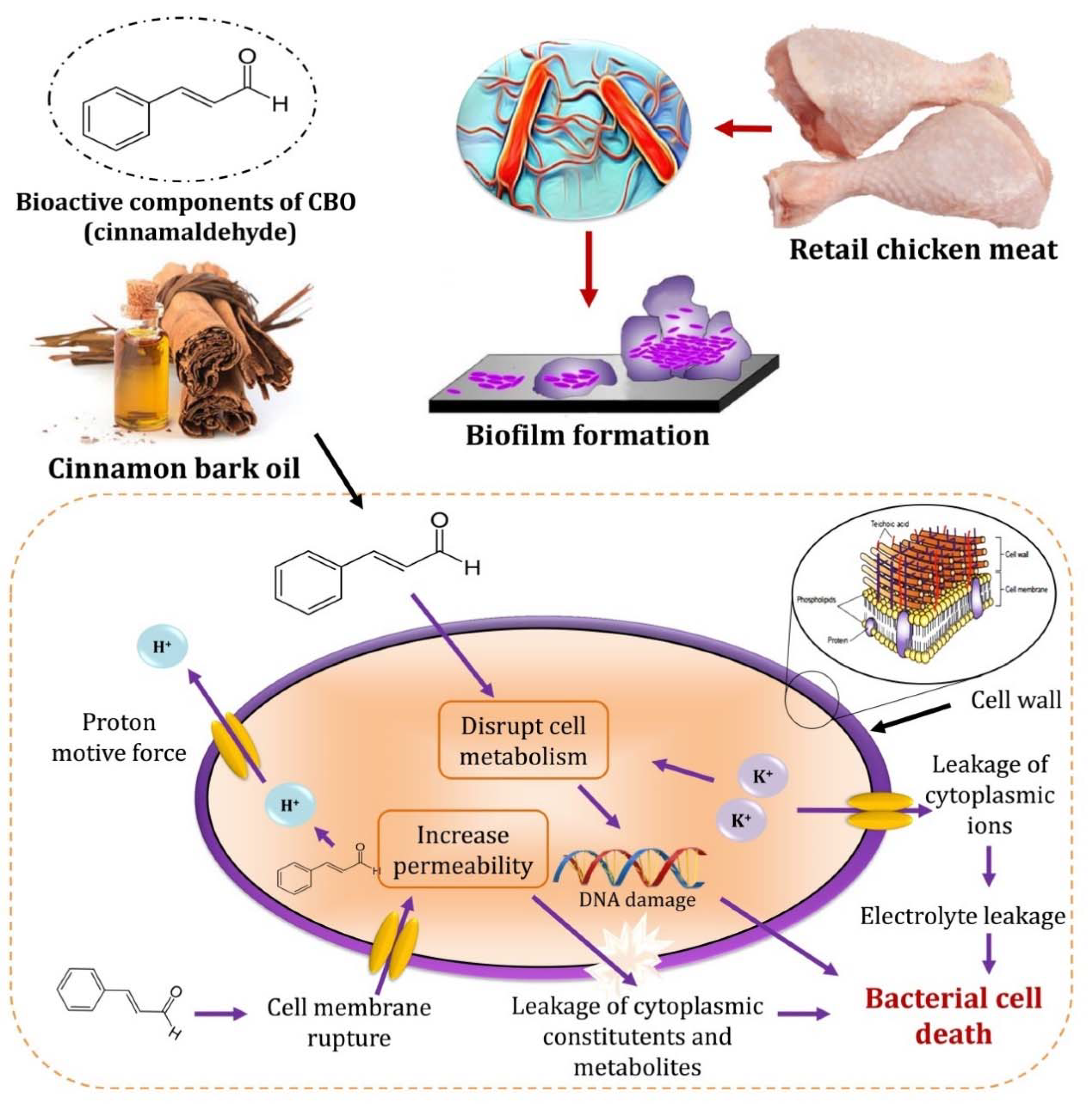 Foods 10 03006 g006 Foods 10 03006 g006