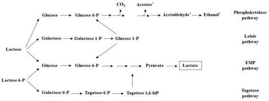 Glucose  alimentarium