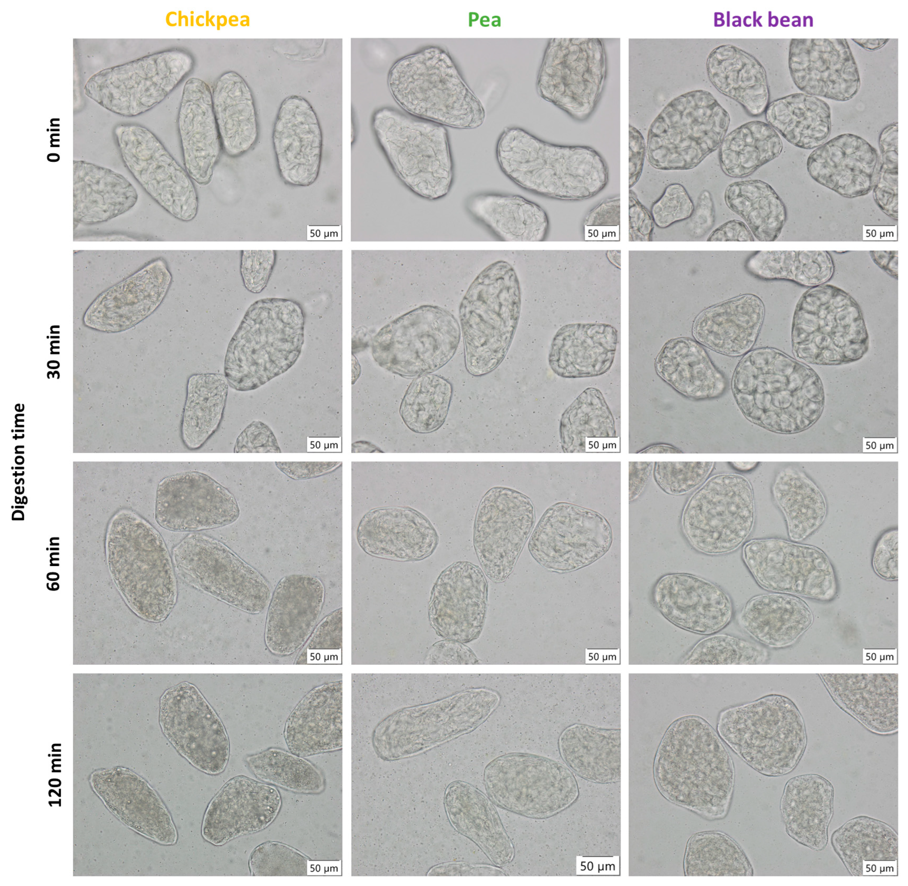 Foods 11 00206 g007 Foods 11 00206 g007