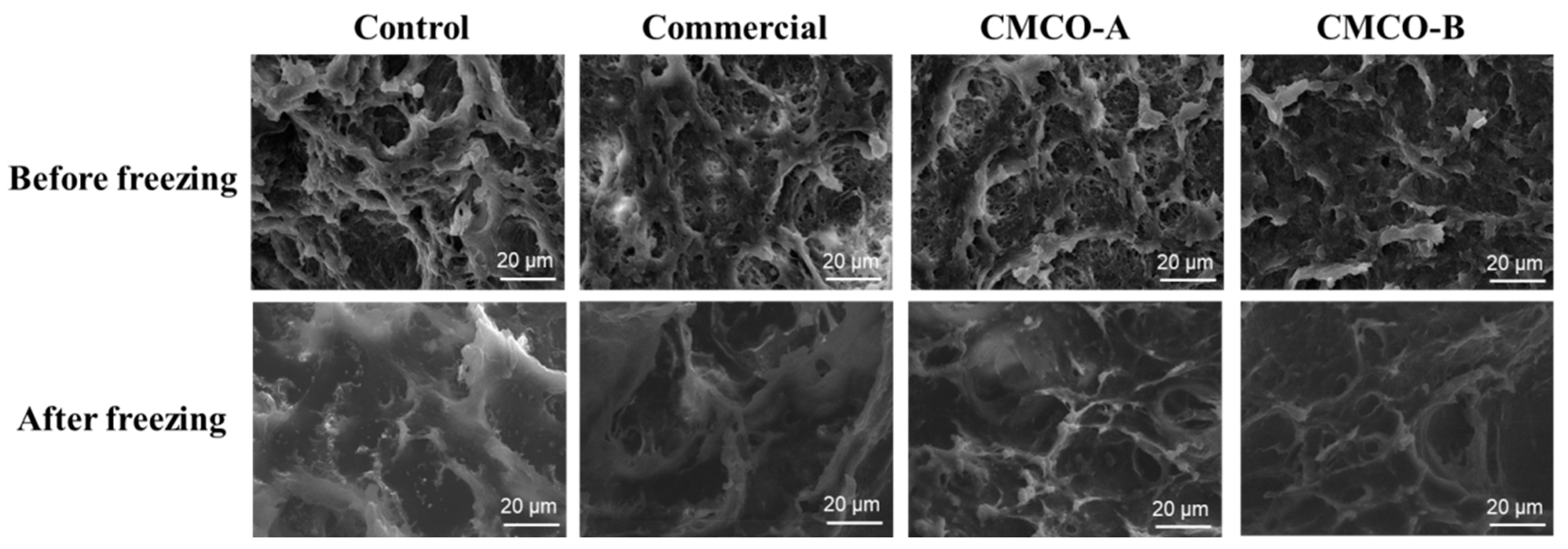 Foods 11 00356 g004 Foods 11 00356 g004