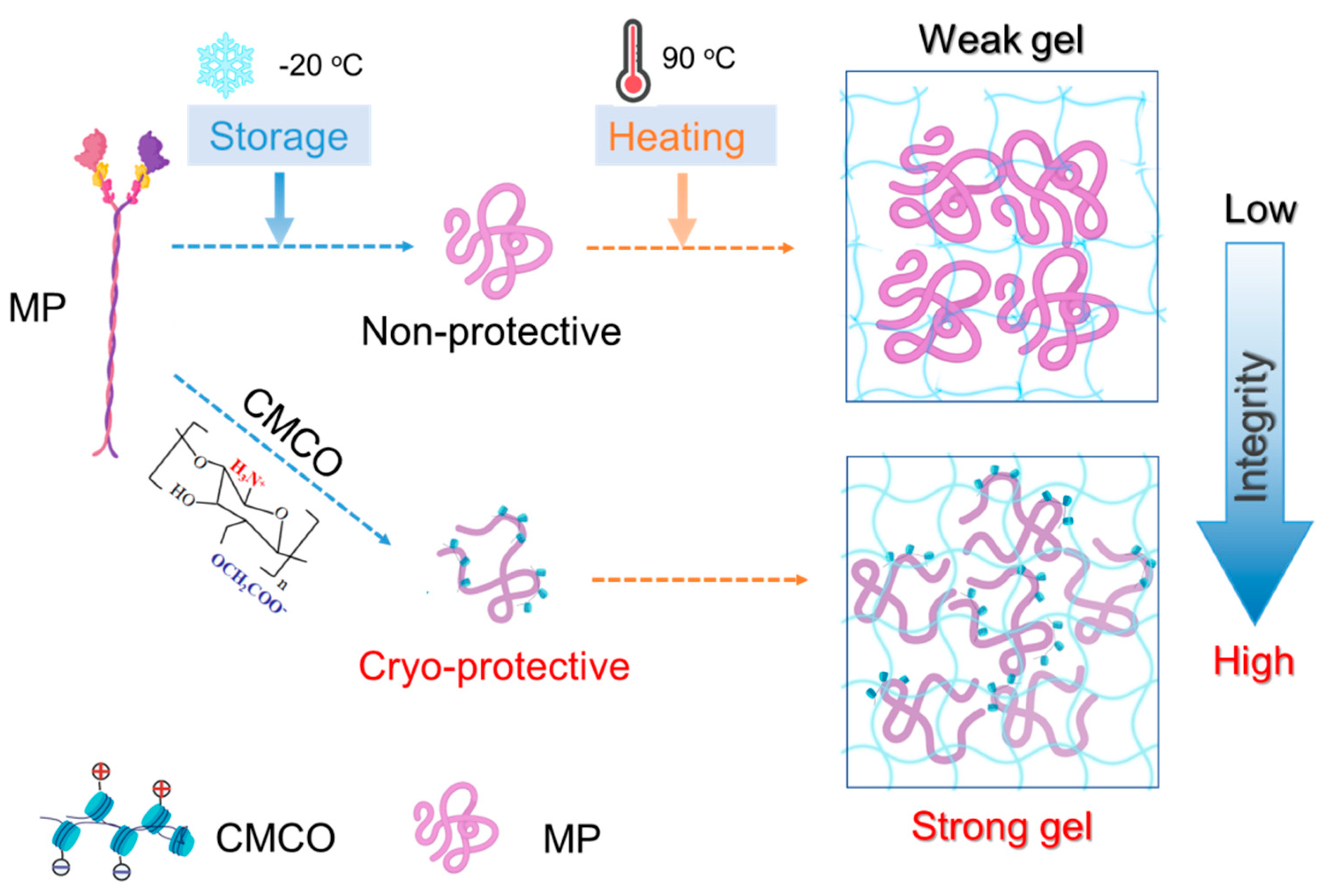 Foods 11 00356 g007 Foods 11 00356 g007