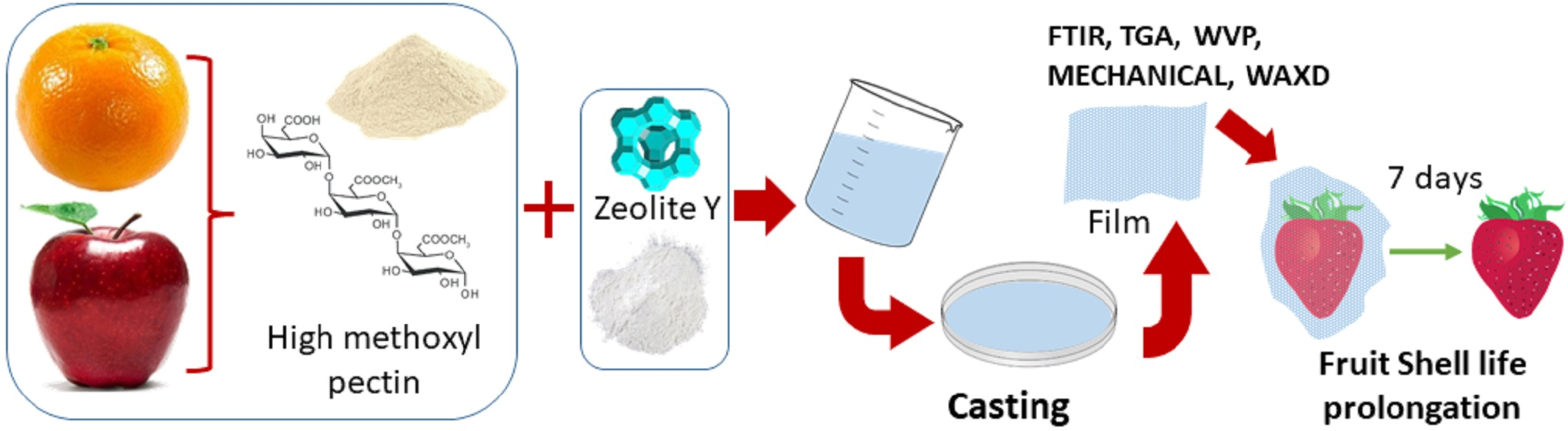 Foods Free Full Text Novel Biocomposite Films Based On High Methoxyl Pectin Reinforced With Zeolite Y For Food Packaging Applications