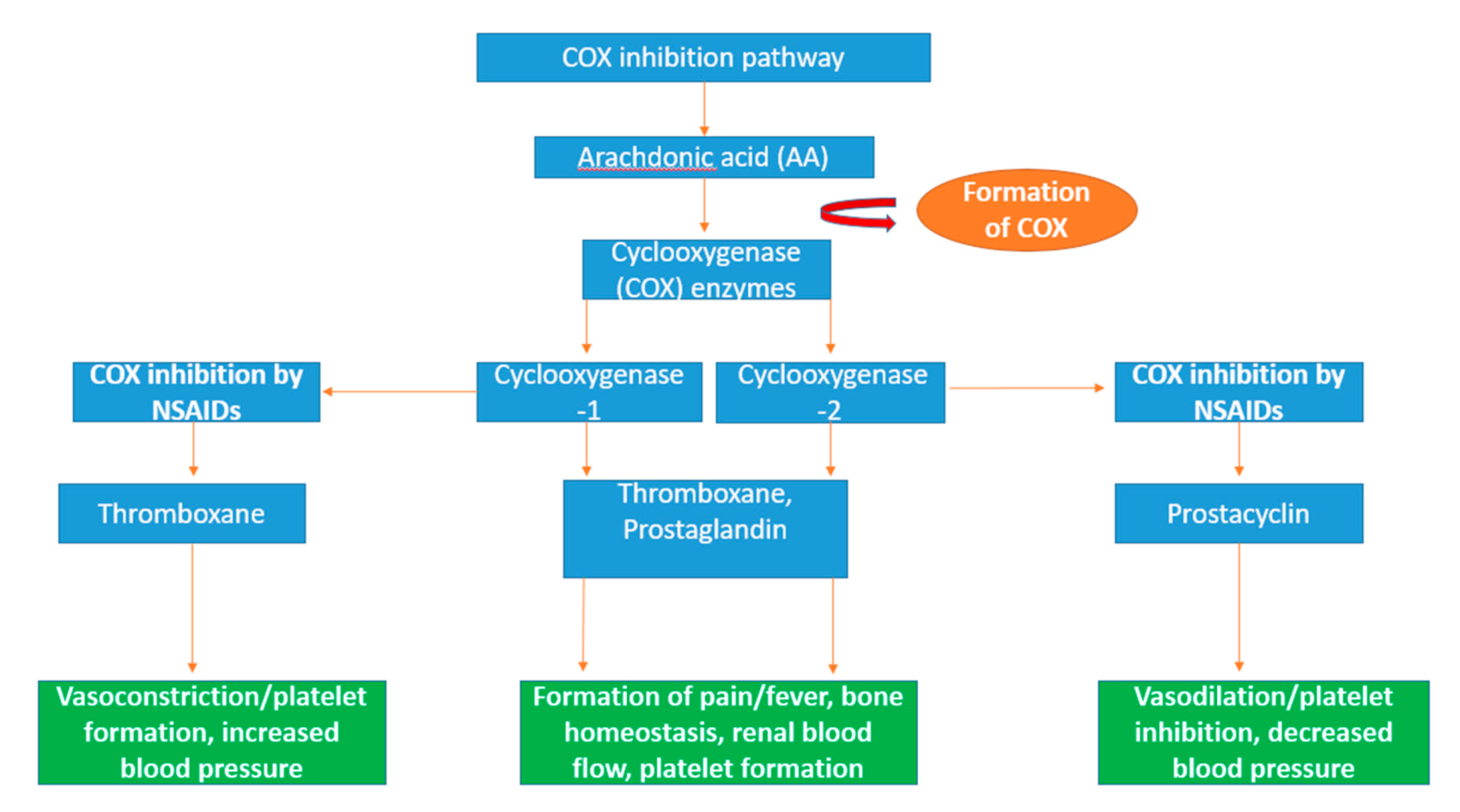 Foods 11 00571 g005 Foods 11 00571 g005