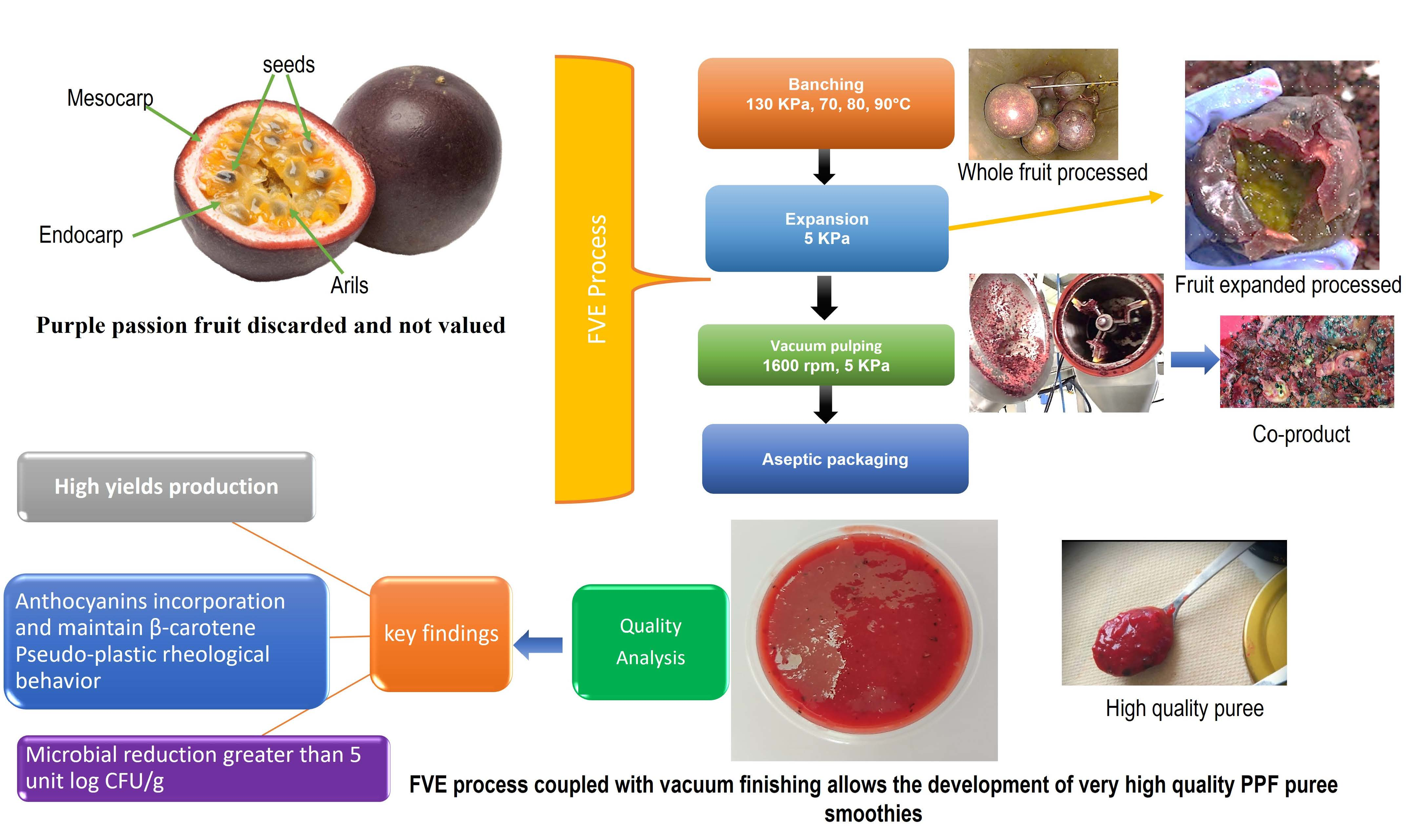 Foods Free Full Text Innovative Process Coupling Short Steam Blanching With Vacuum Flash Expansion Produces In One Single Stage High Quality Purple Passion Fruit Smoothies Html