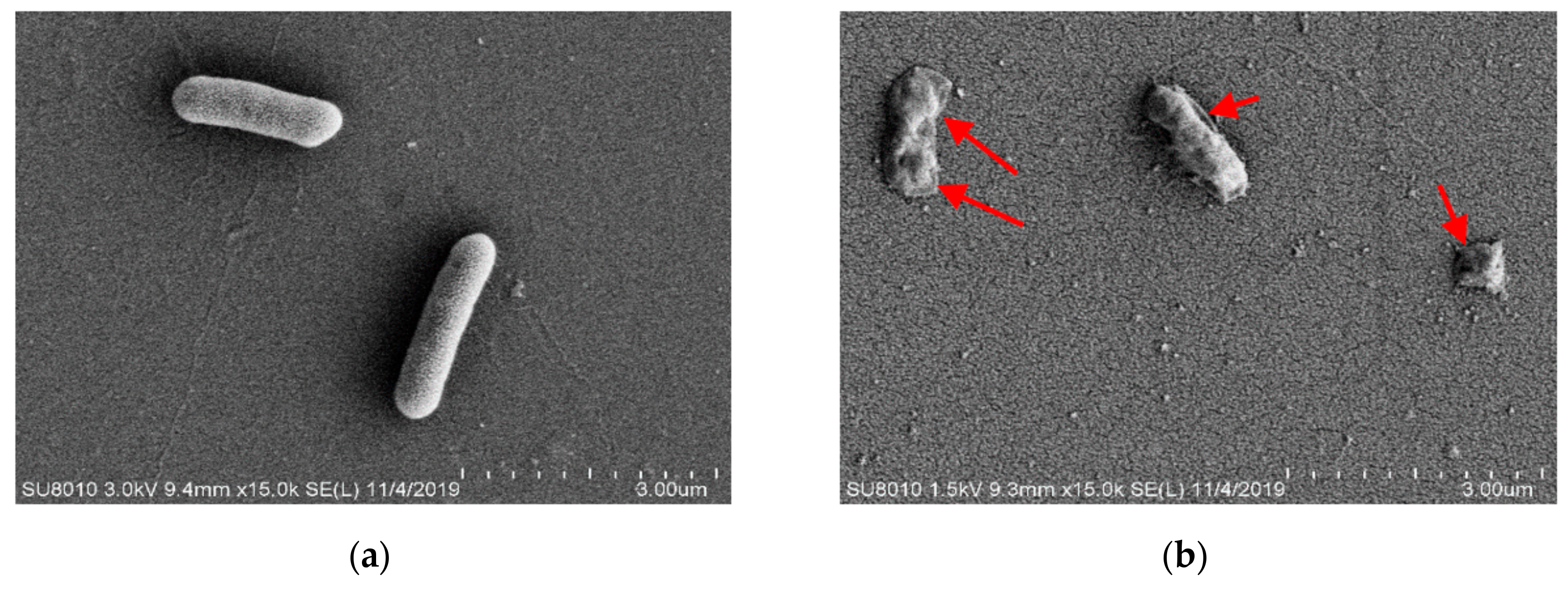 Foods 11 00955 g004a