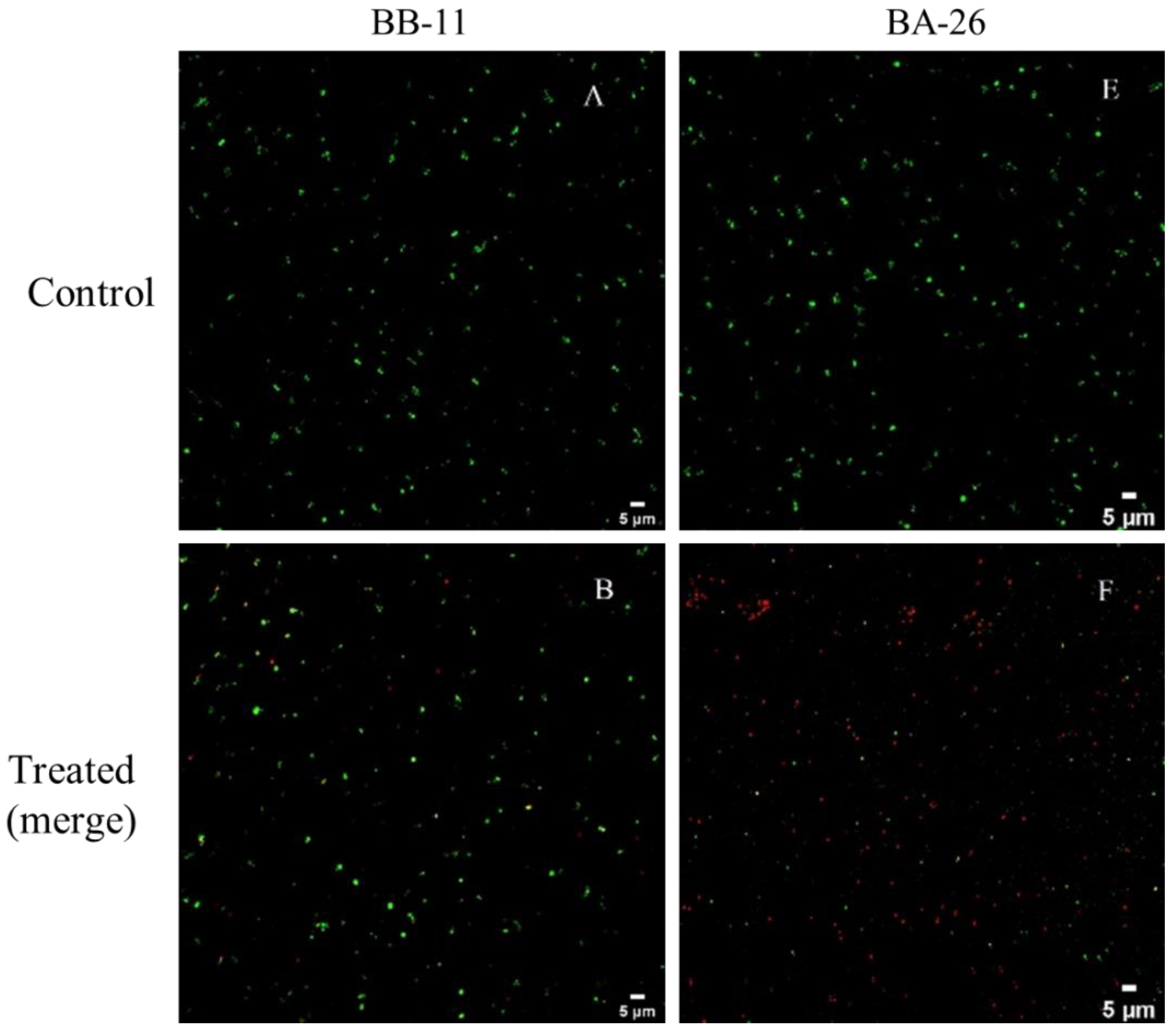 Foods | Free Full-Text | Comparative Transcriptomic Analysis of