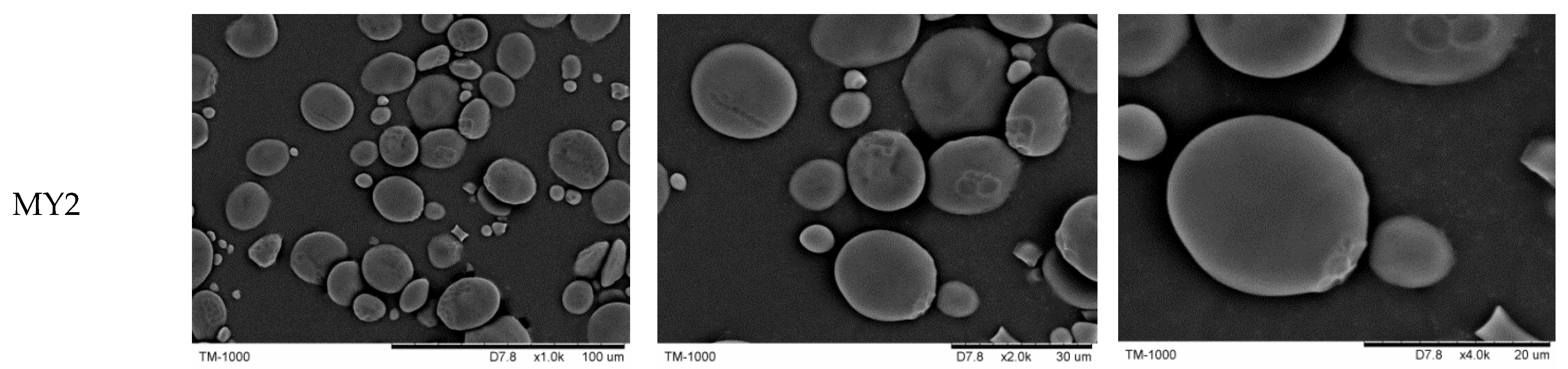 Foods 11 01087 g001a