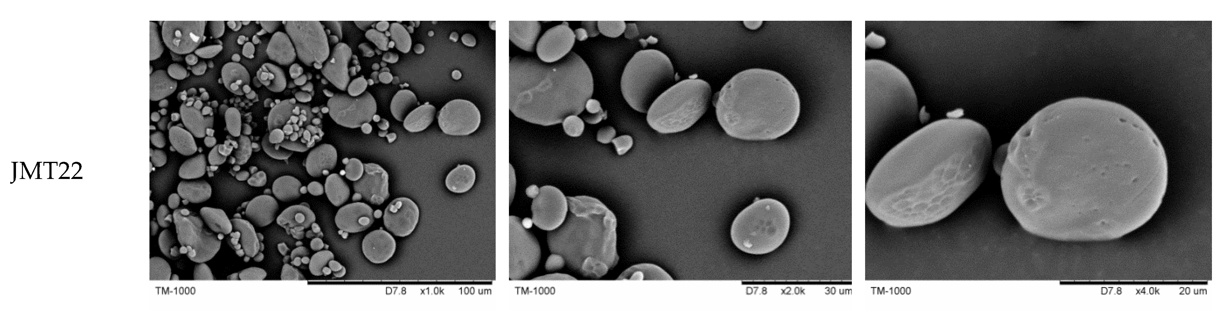 Foods 11 01087 g001c