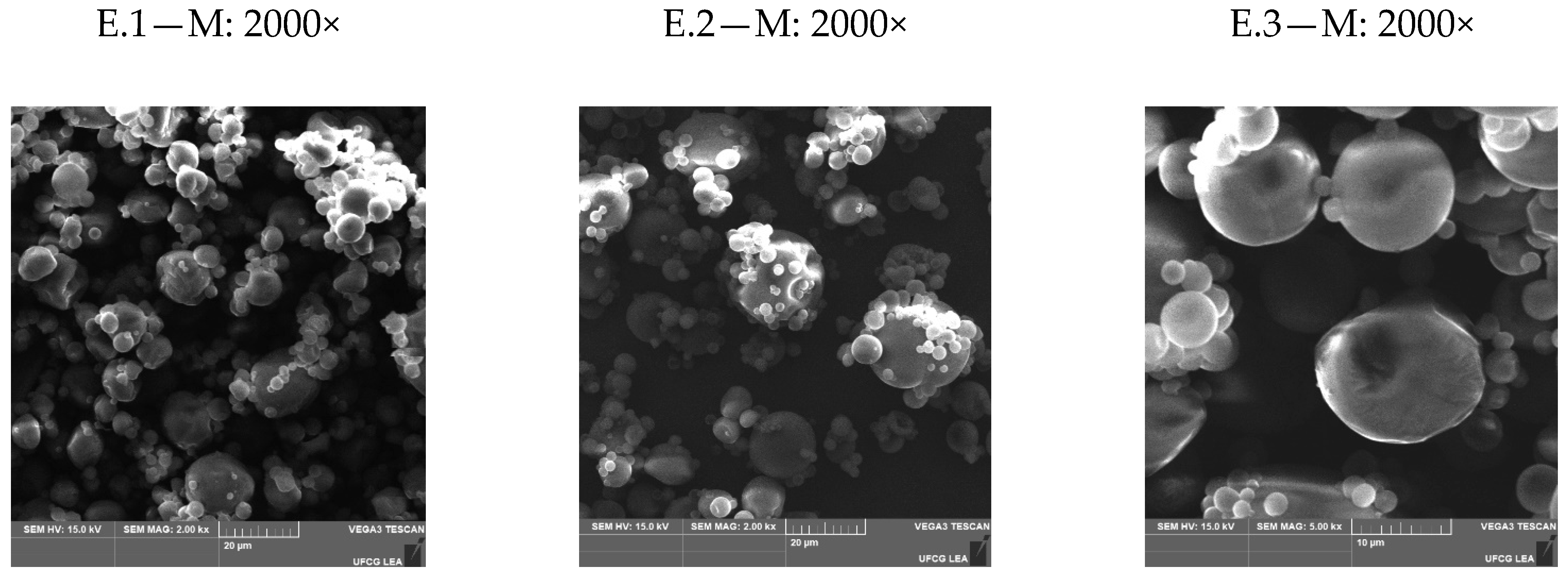 Foods 11 01111 g001a