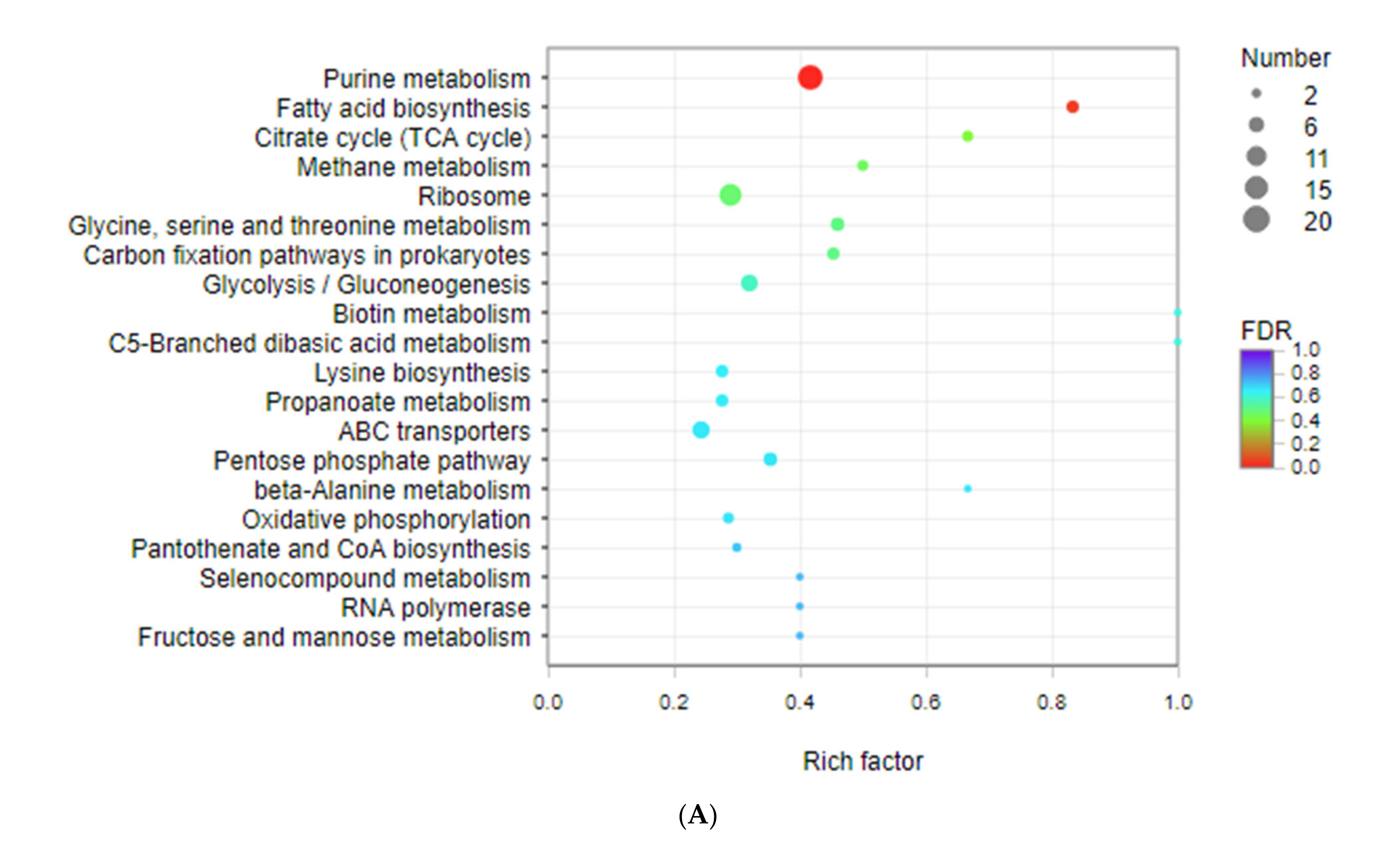 Foods 11 01251 g004a