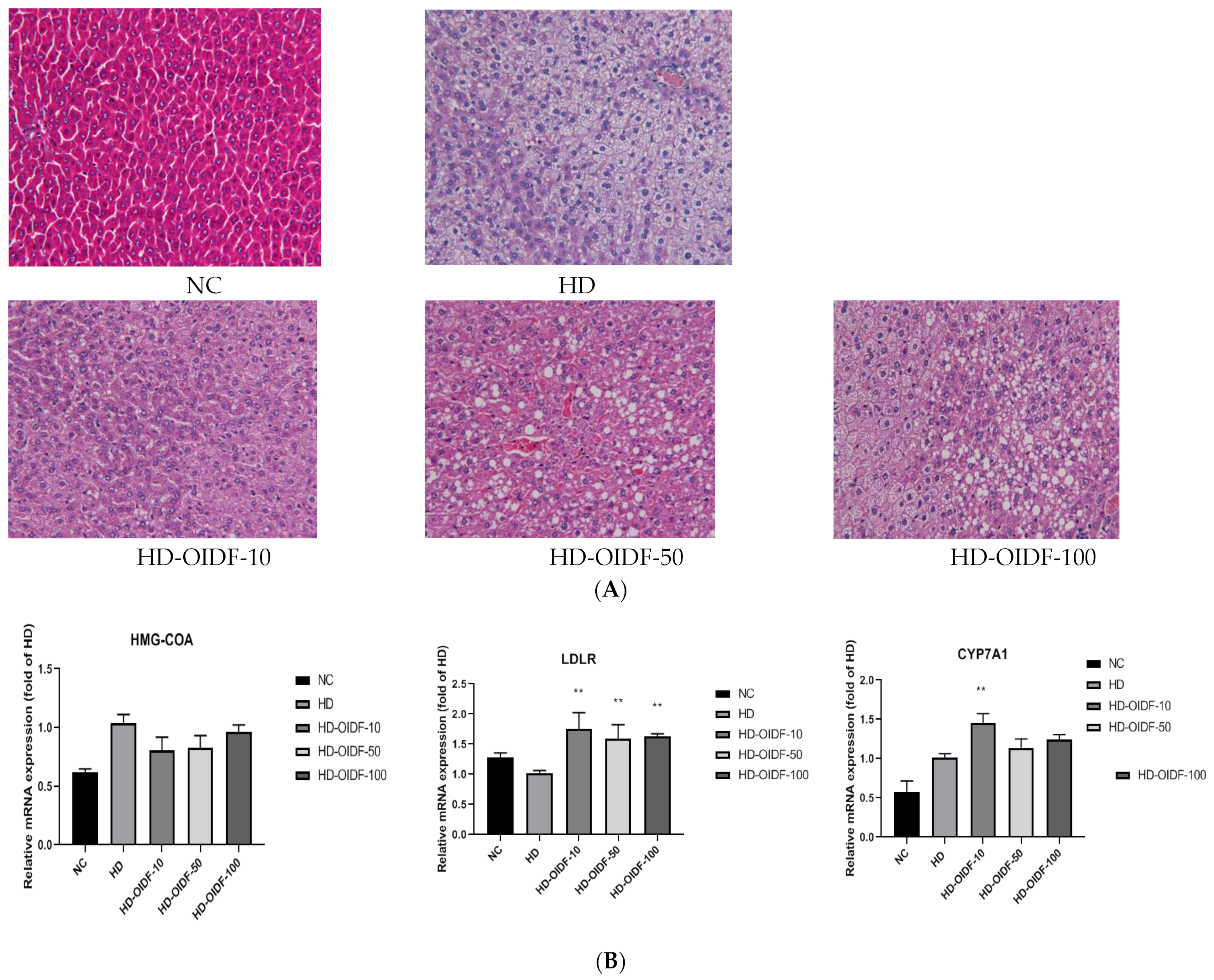 Foods 11 01298 g005a