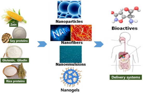 A protein that enables us to detect cold and menthol may also be