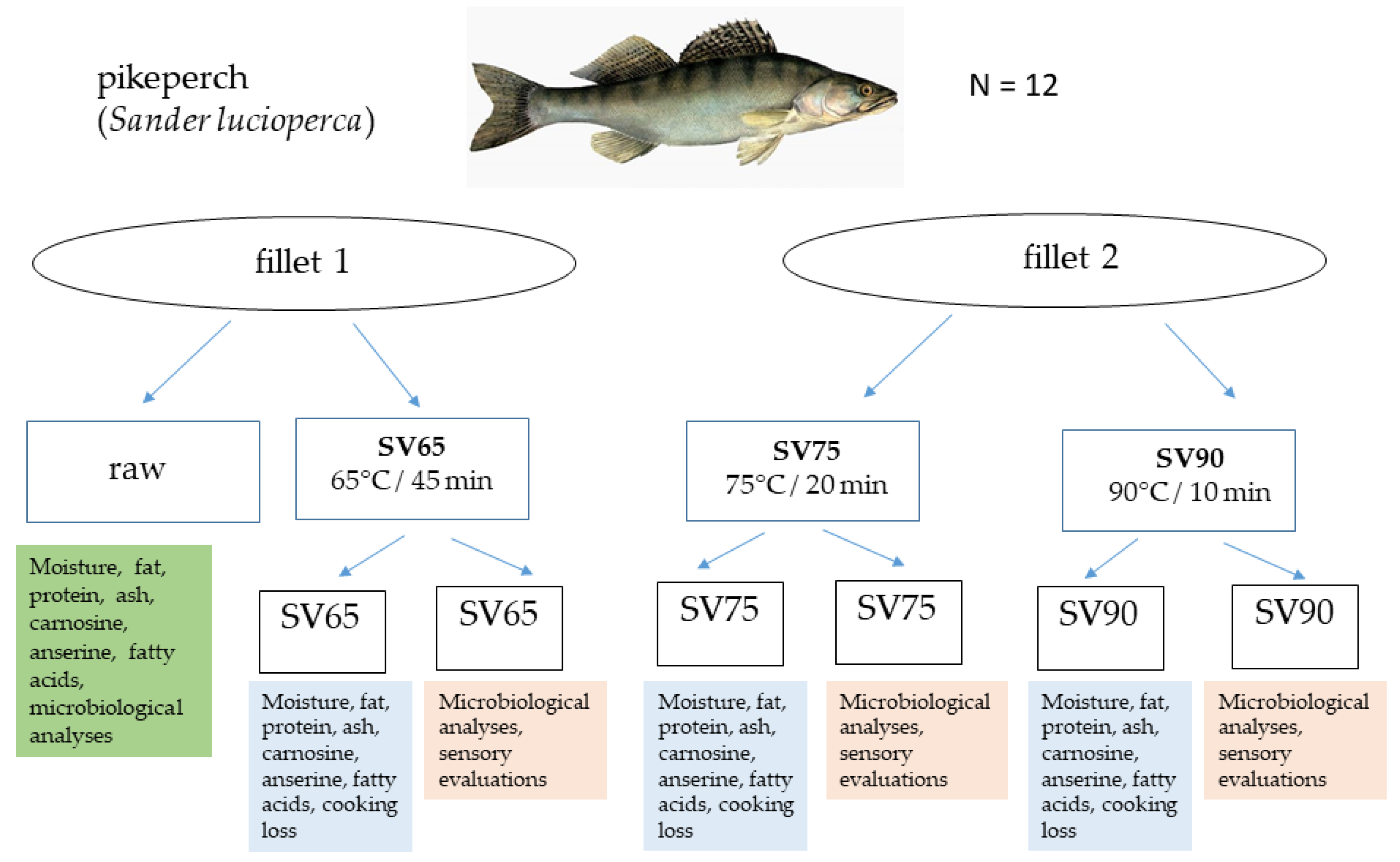 Foods | Free Full-Text | The Influence of Sous Vide Parameters on  Nutritional Characteristics and Safety of Pikeperch Fillets