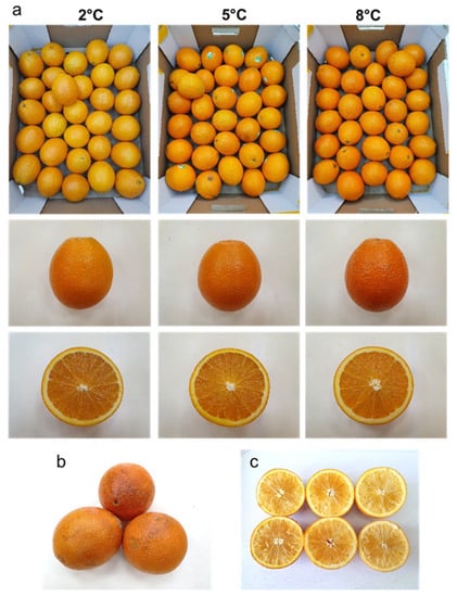 Kinnow Orange - Mandarin - Export Quality - Extra Large 10Kg