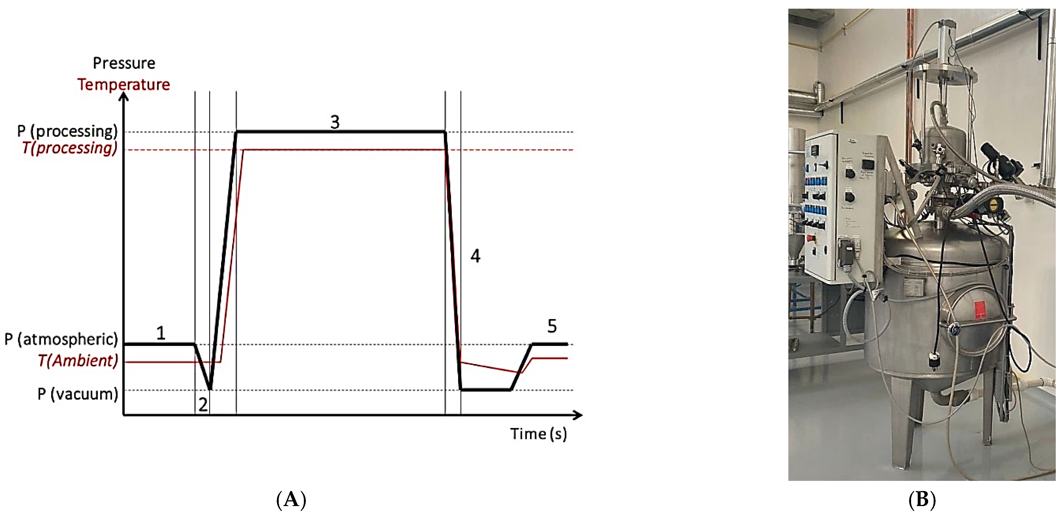 Foods | Free Full-Text | A Preliminary Study on the Effect of the