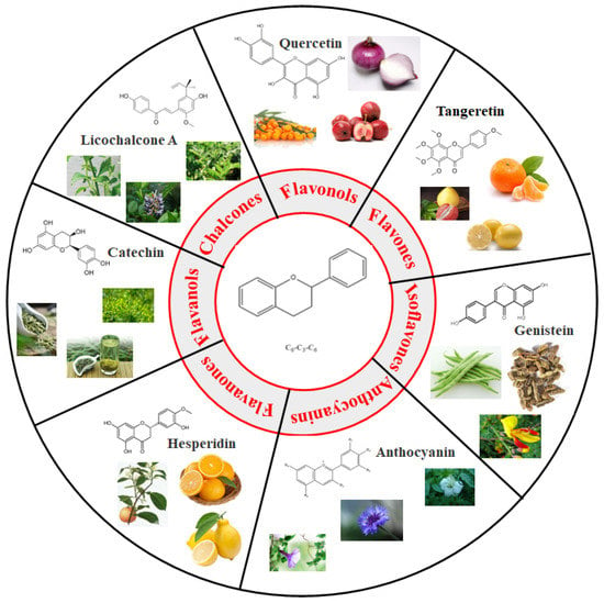 Full article: Food-grade encapsulated polyphenols: recent advances