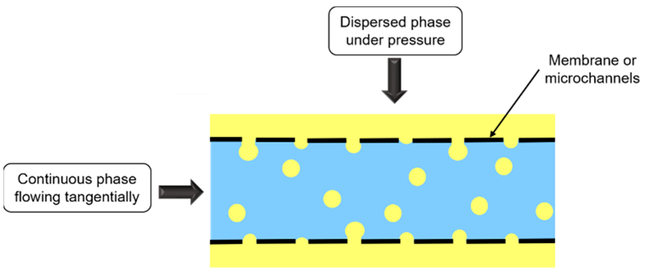 Foods 11 02194 g008 Foods 11 02194 g008
