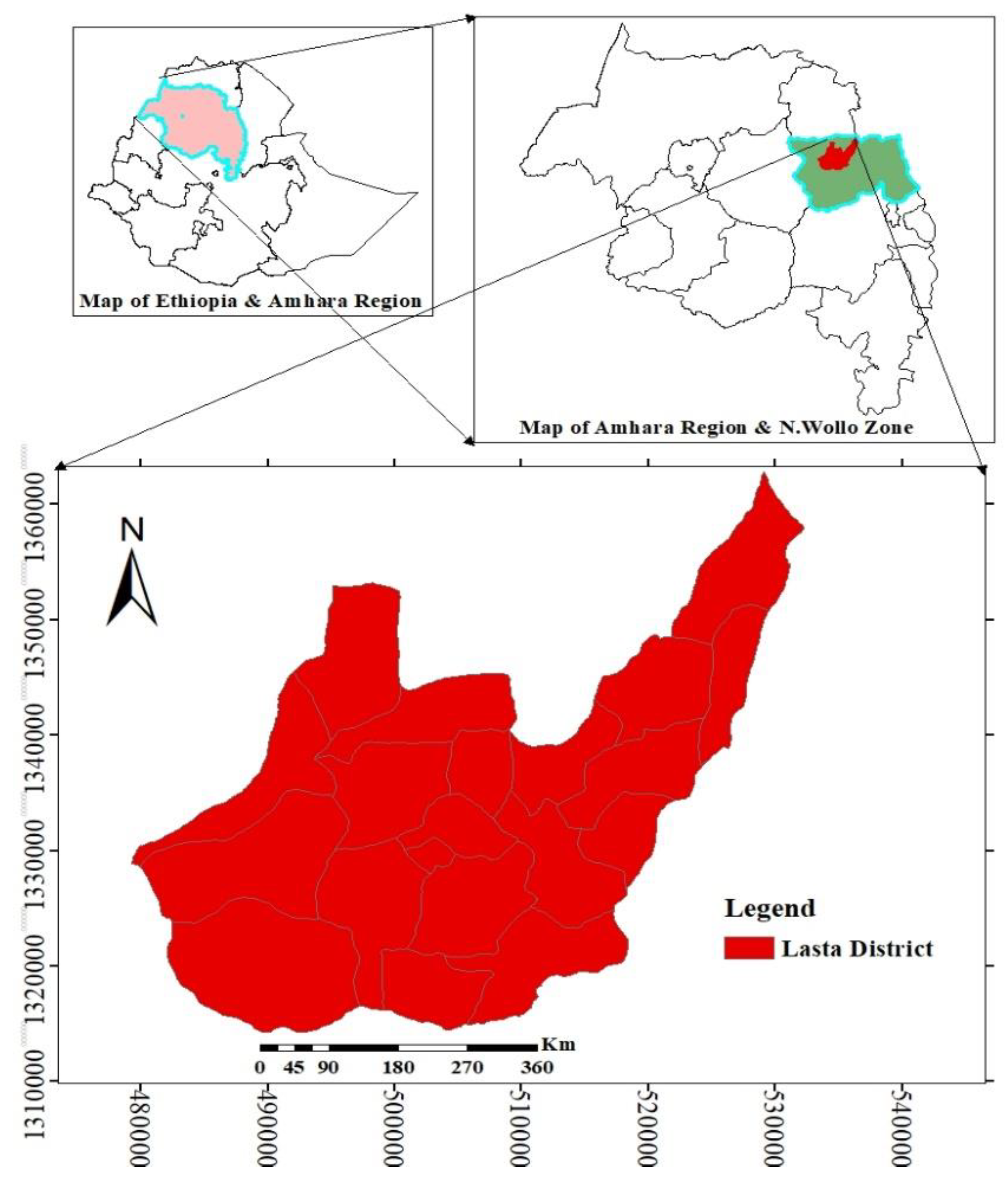 Frontiers  Biochemical and antioxidant activity of wild edible