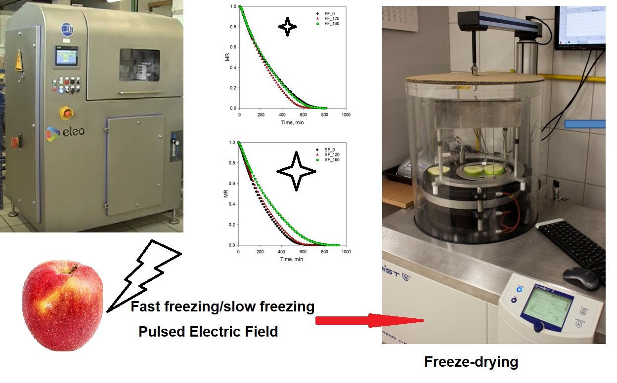 Foods | Free Full-Text | Effect of Pulsed Electric Field Pre-Treatment and  the Freezing Methods on the Kinetics of the Freeze-Drying Process of Apple  and Its Selected Physical Properties