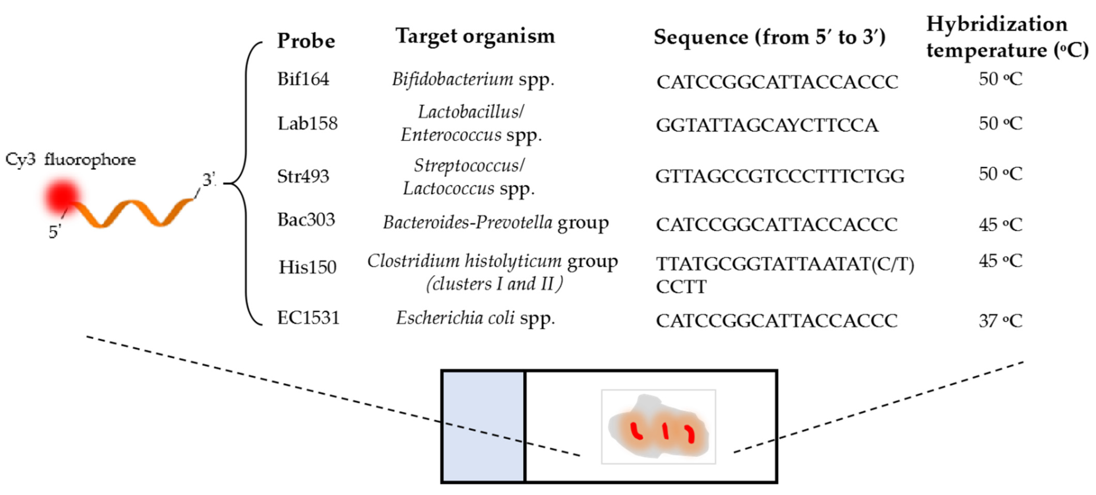 Foods 11 02501 sch001