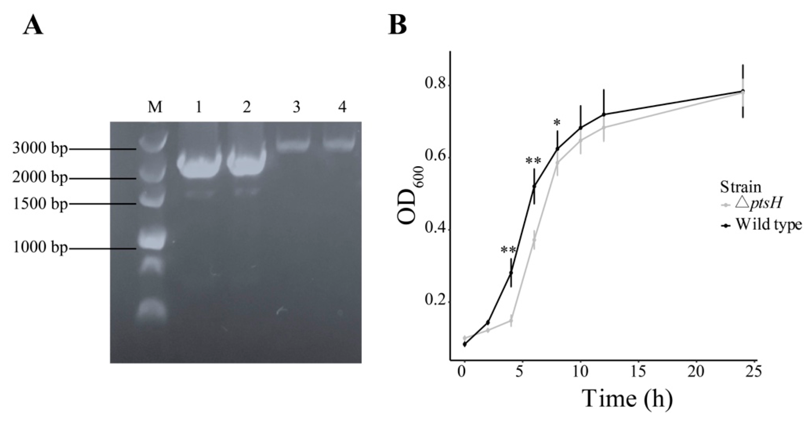 Foods 11 02680 g001 Foods 11 02680 g001