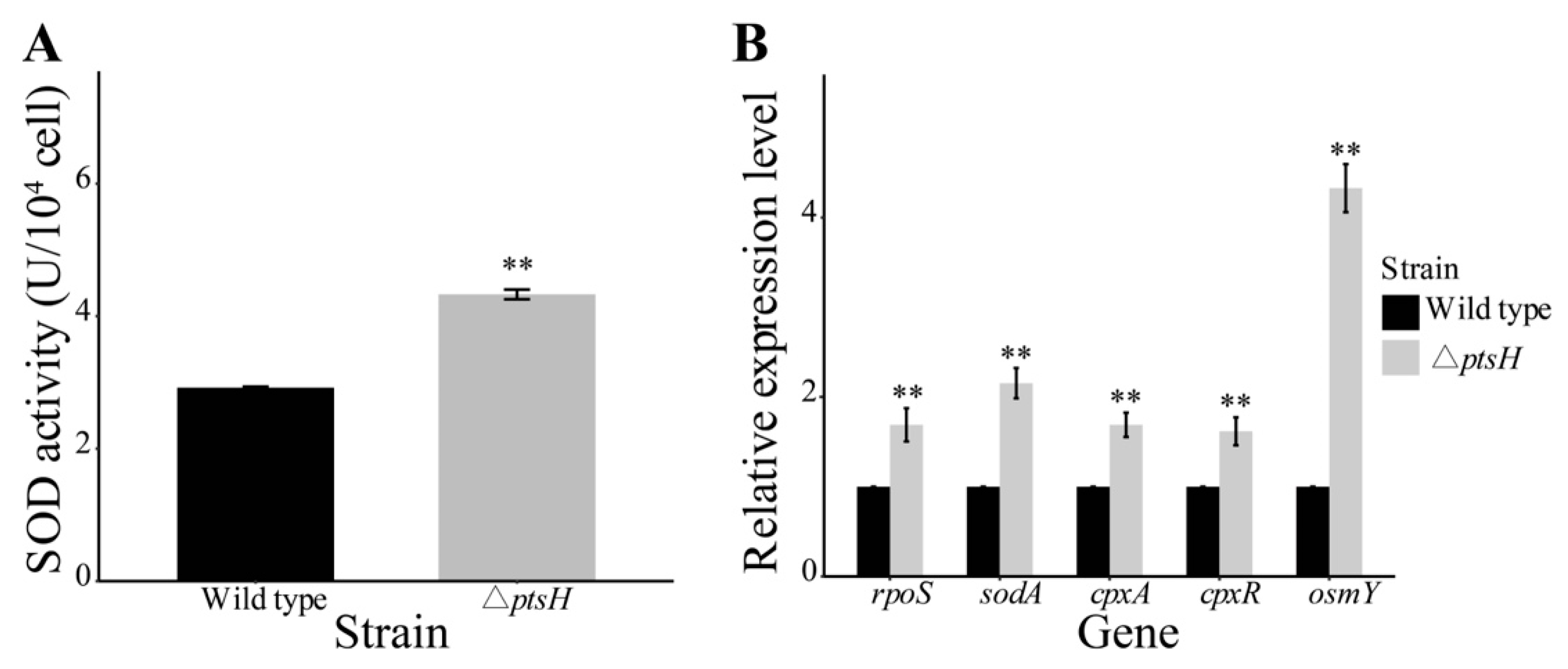 Foods 11 02680 g006 Foods 11 02680 g006