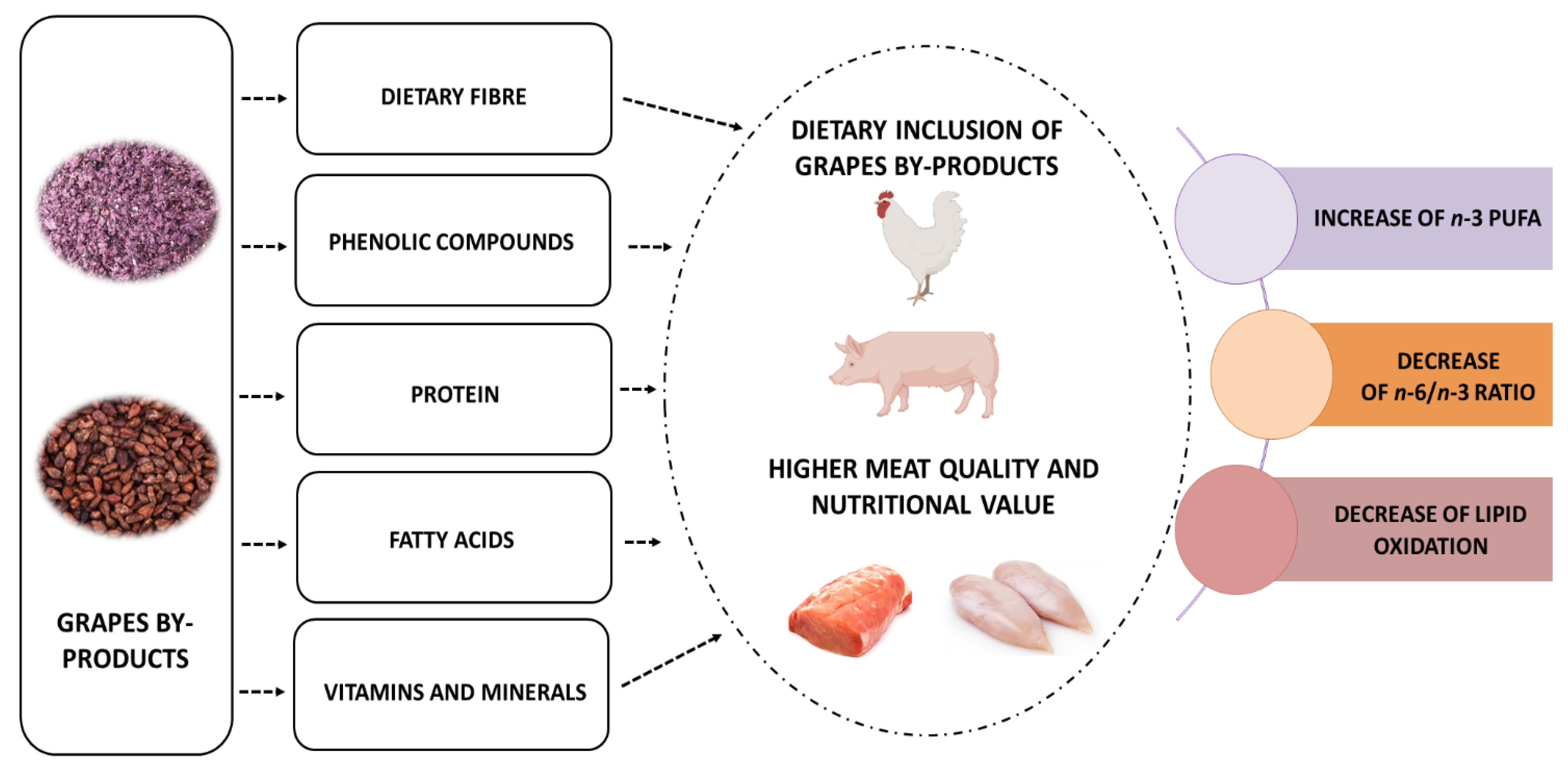 Foods | Free Full-Text | Use of Grape By-Products to Enhance Meat Quality  and Nutritional Value in Monogastrics