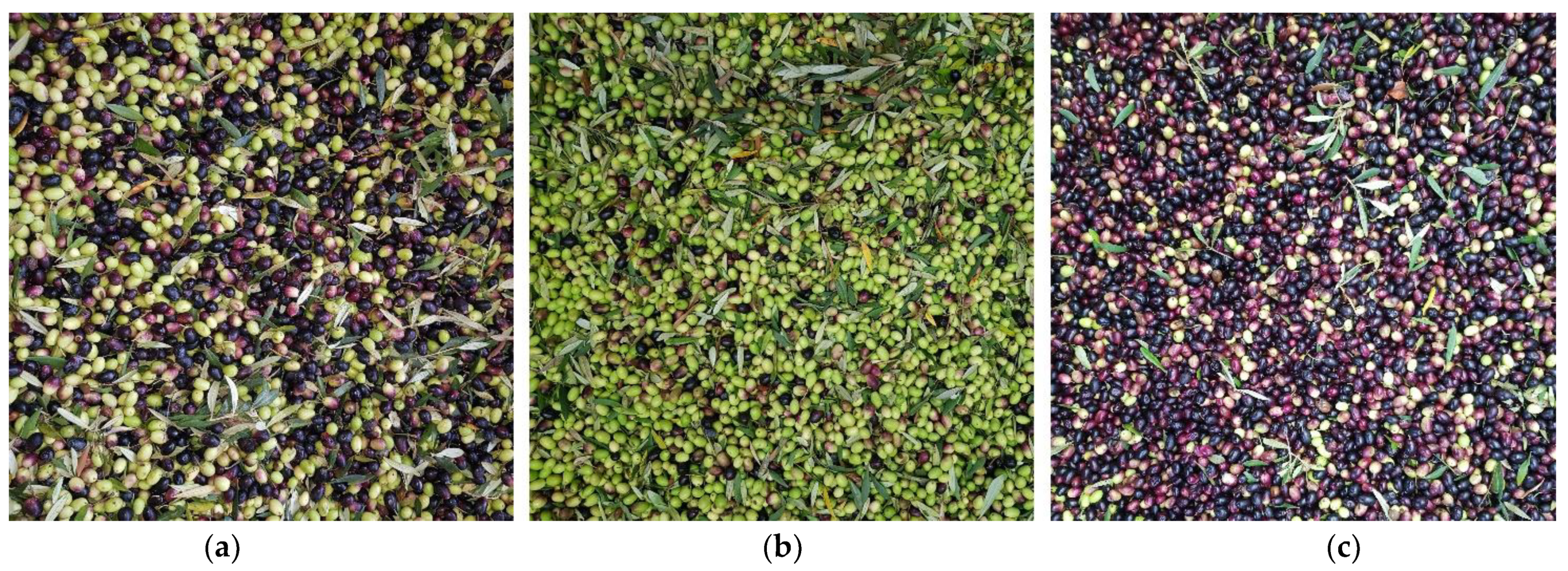 Foods 11 02917 g002 Foods 11 02917 g002